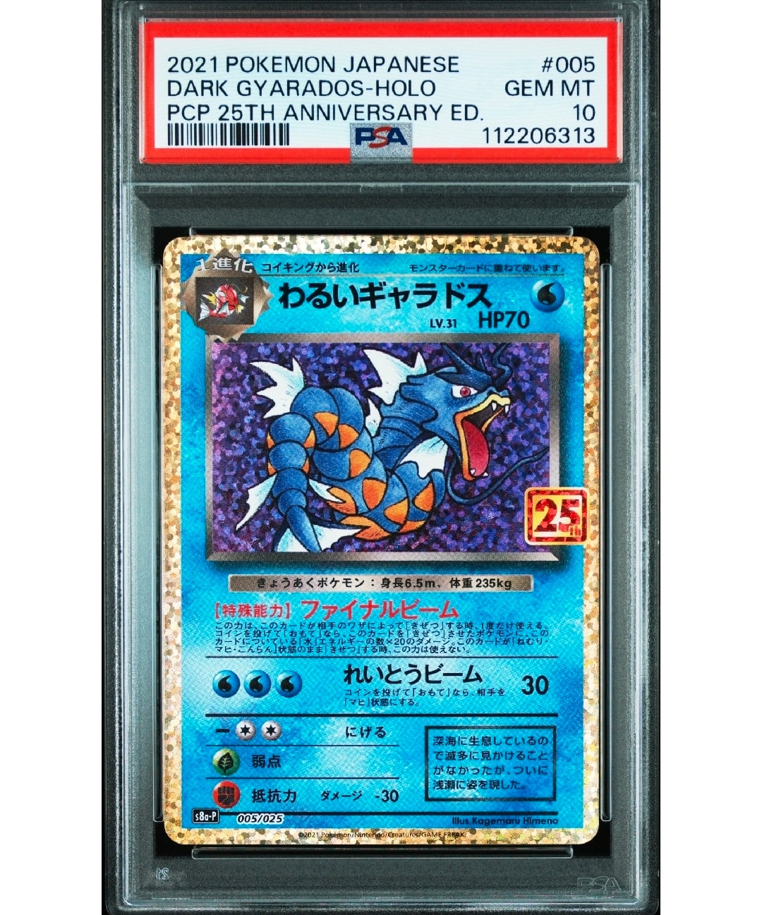 わるいギャラドス: プロモ[S8a-P 005/025](プロモカードパック 25th ANNIVERSARY edition)