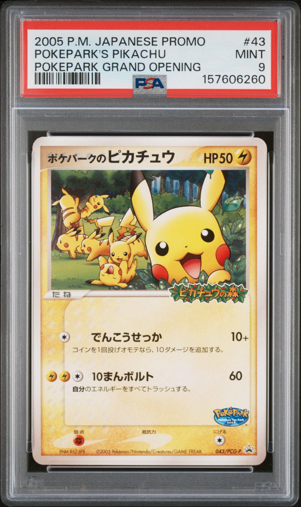ポケパークのピカチュウ P [PCG-P 043](プロモーションカード