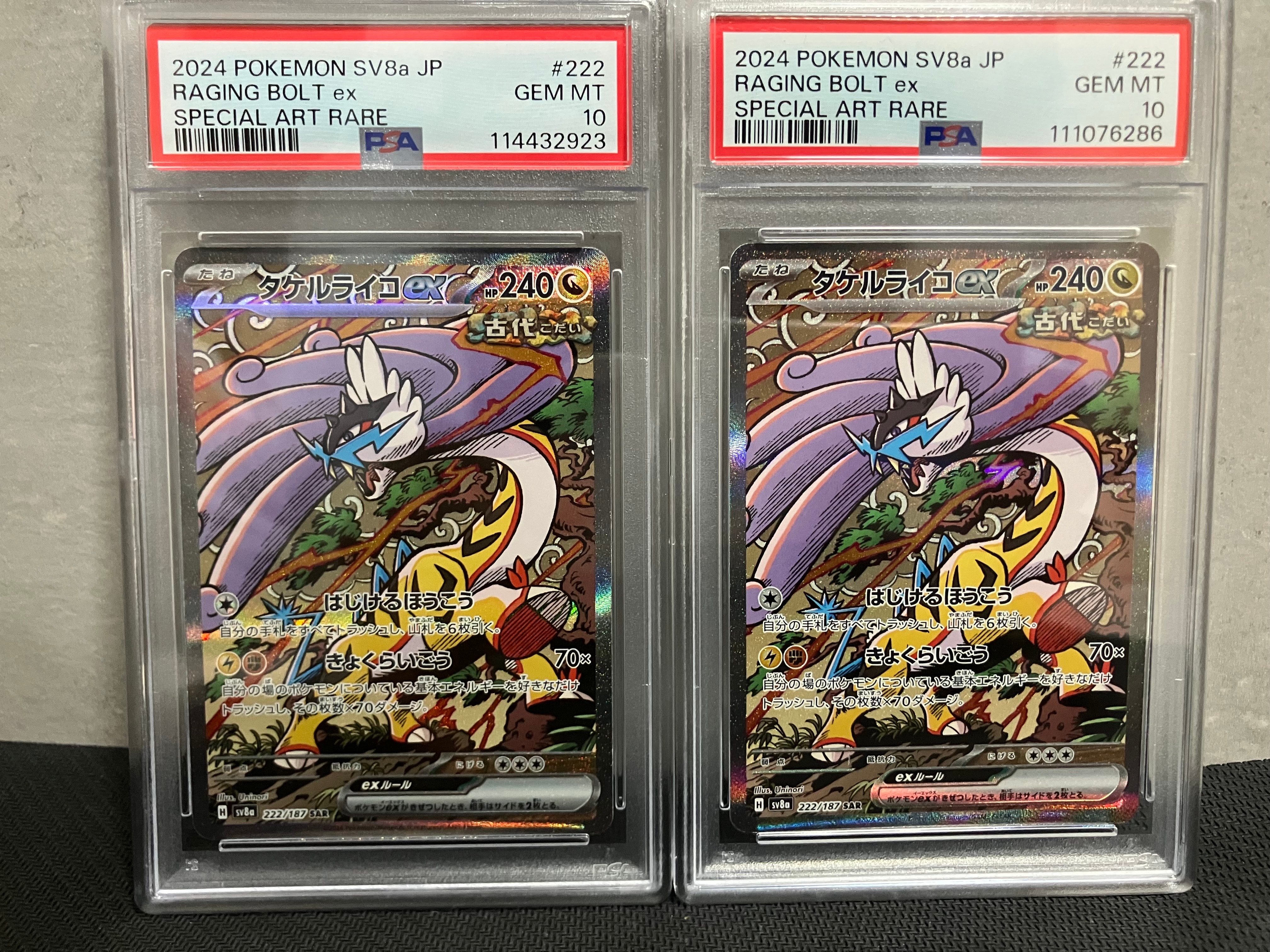 タケルライコex SAR [SV8a 222/187](ハイクラスパック「テラスタルフェスex」)