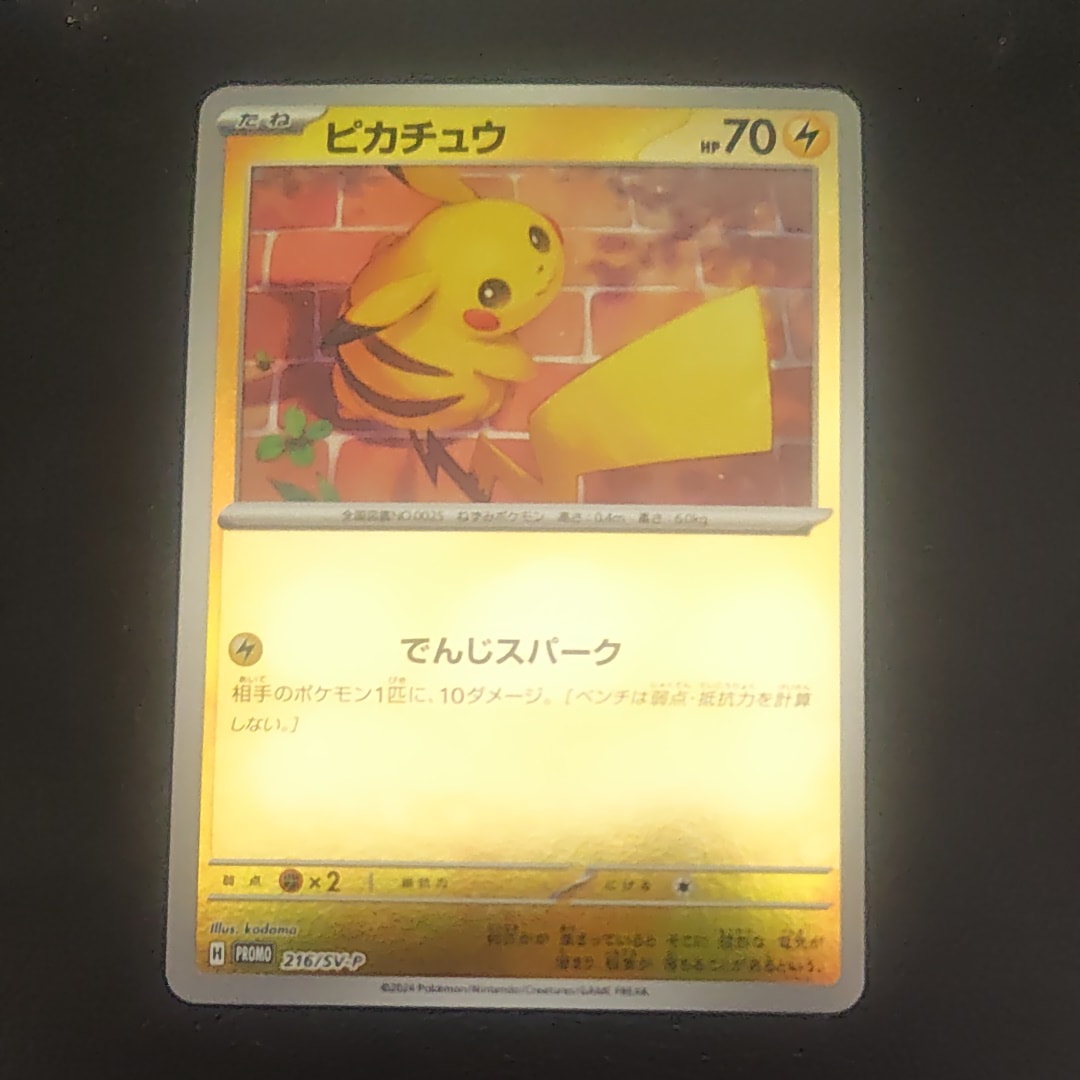 ピカチュウ P [SV-P 216](プロモカードパック「ポケカの夏がキタ!プロモカードGetキャンペーン!」)