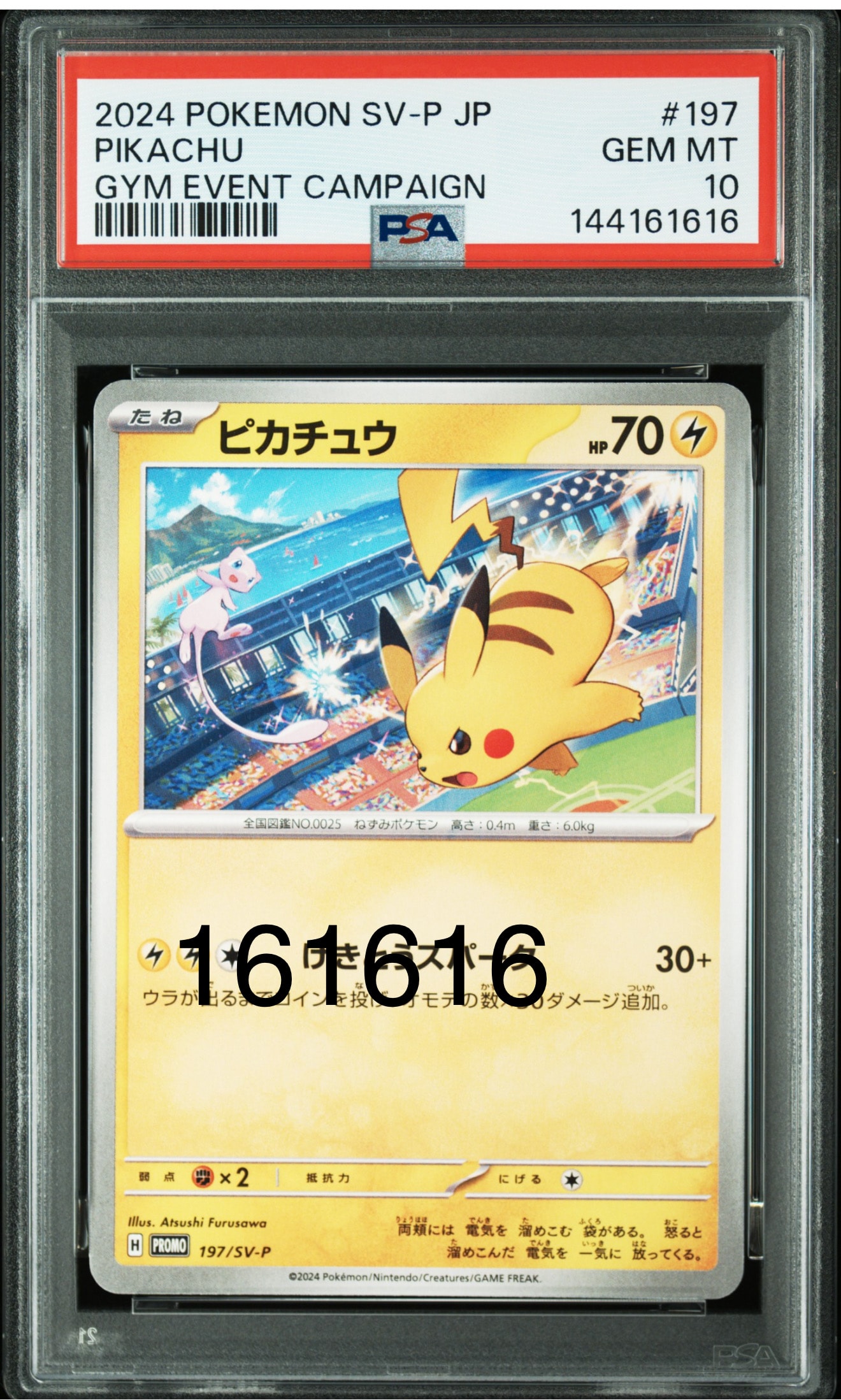 R団のサンダー(25th): プロモ[025 008](プロモカードパック 25th
