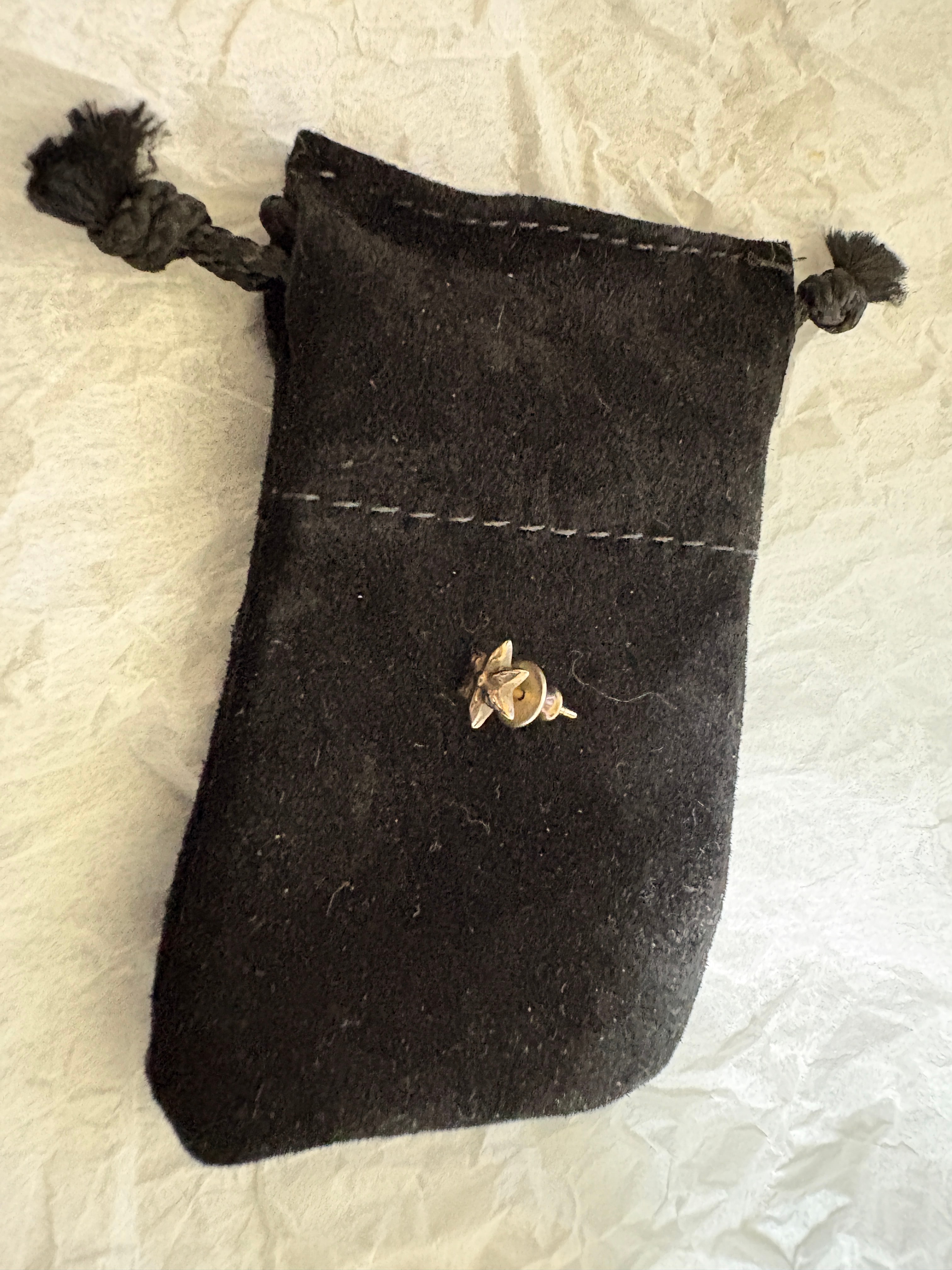 Chrome Hearts Star Stud Earrings "Silver"