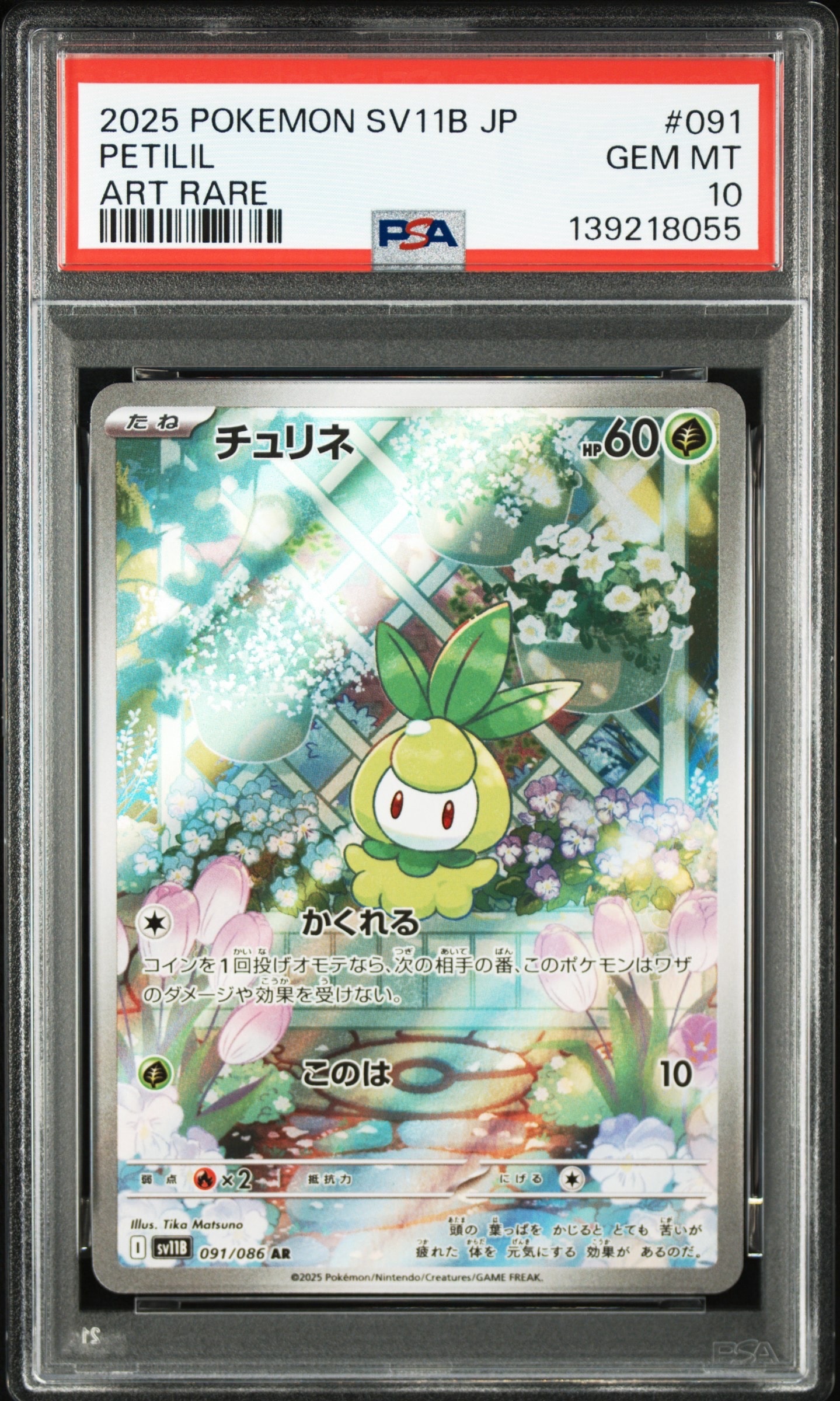 チュリネ AR [SV11B 091/086](拡張パック「ブラックボルト」)の新品