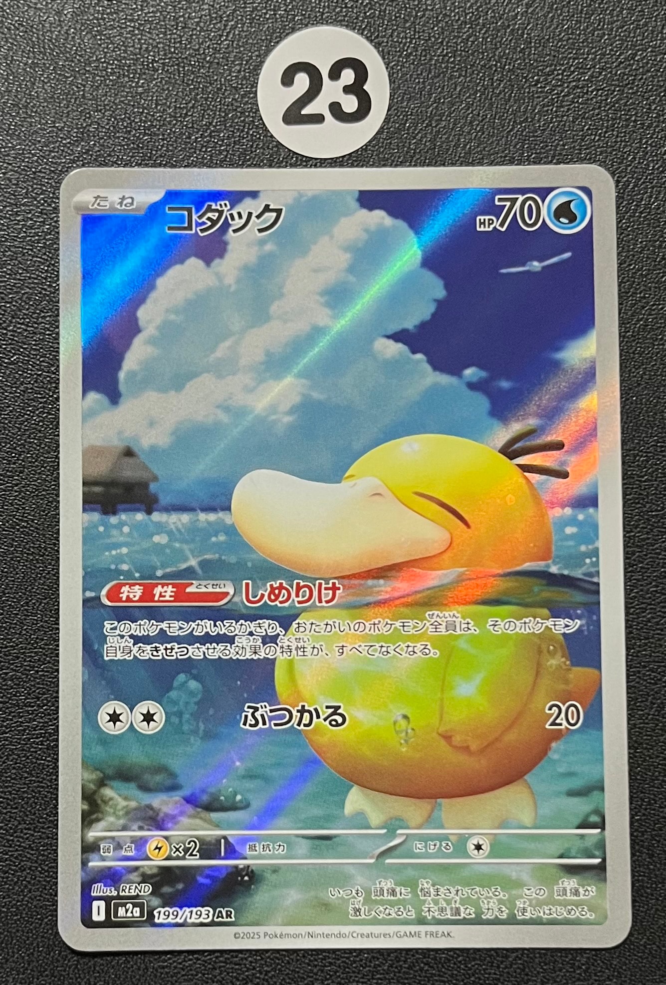 コダック AR [M2a 199/193](ハイクラスパック「MEGAドリームex」)