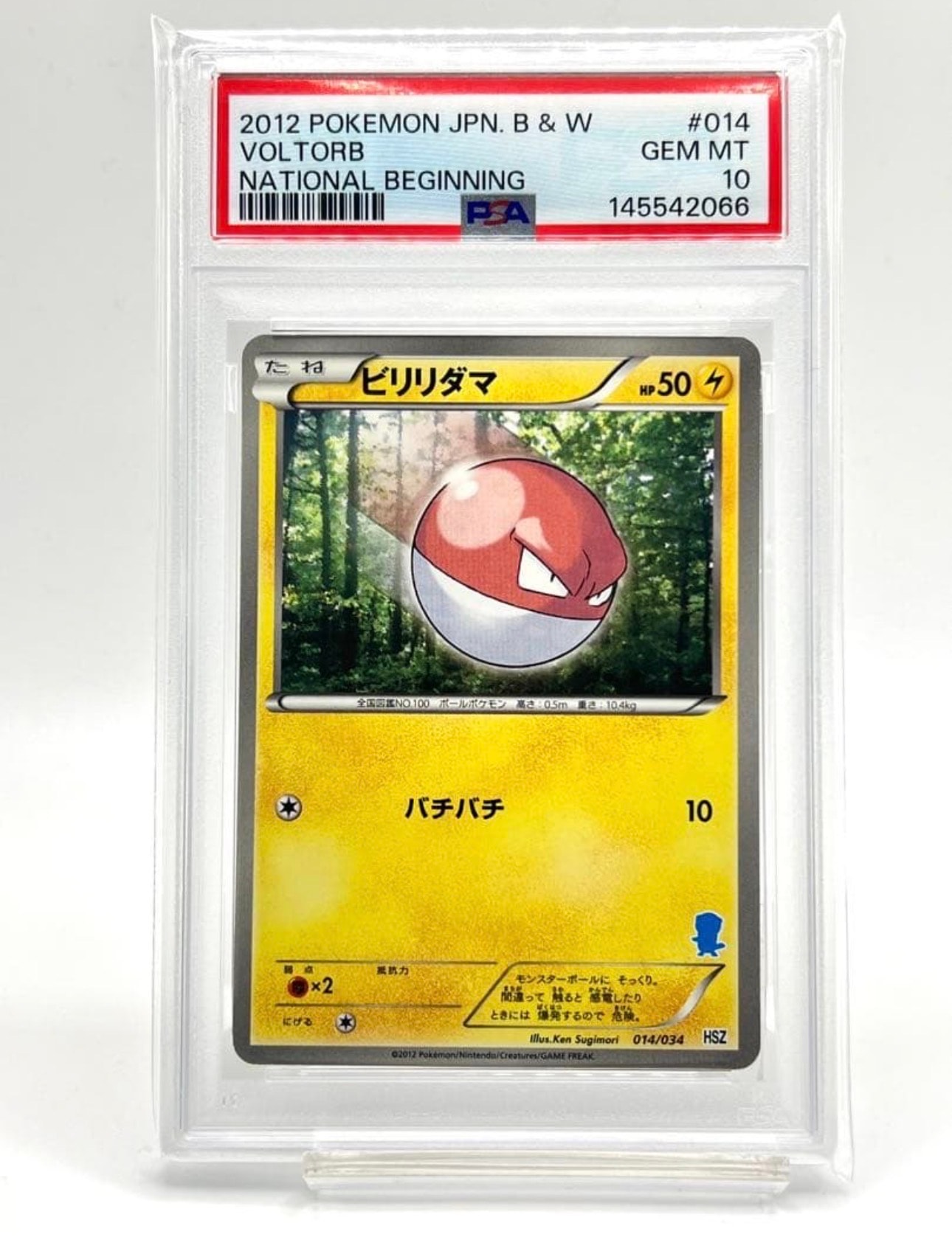 ピカチュウ：バトルフェスタ2014 PROMO XYシリーズプロモーション ピカチュウ: バトルフェスタ2014プロモ[XY-P 090/XY-P](プロモーション