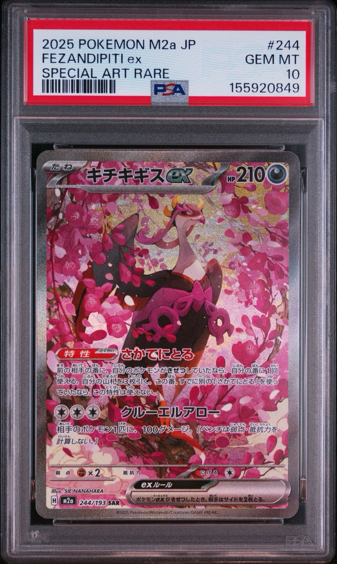 キチキギスex SAR [M2a 244/193](ハイクラスパック「MEGAドリームex