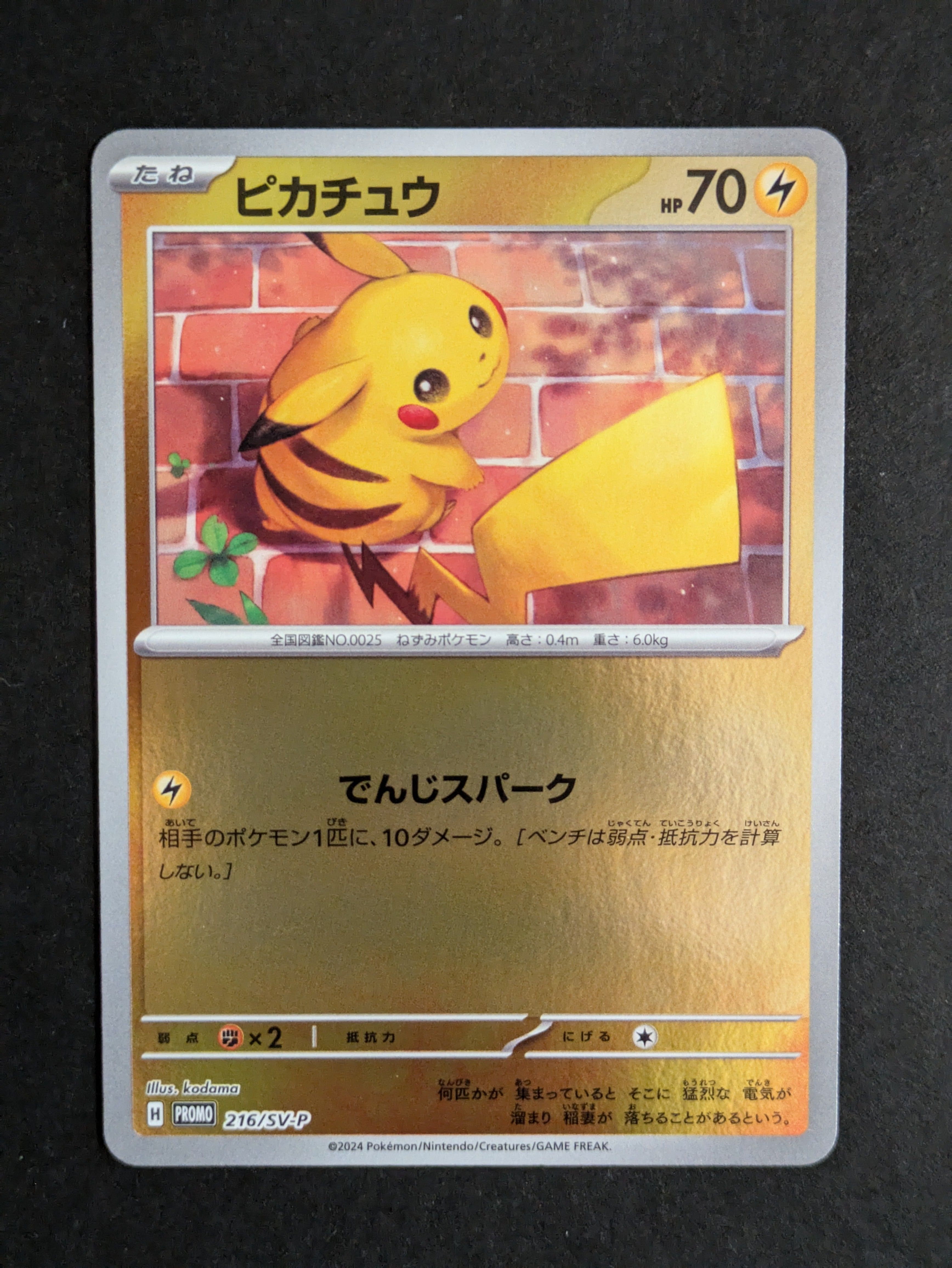 ピカチュウ P [SV-P 216](プロモカードパック「ポケカの夏がキタ!プロモカードGetキャンペーン!」)