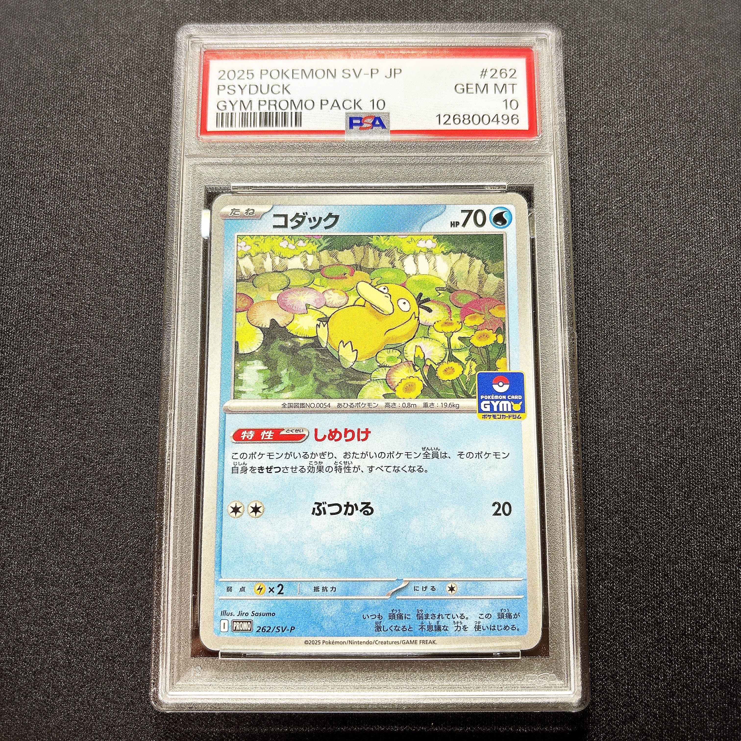 コダック P [SV-P 262](プロモカードパック「第10弾」)
