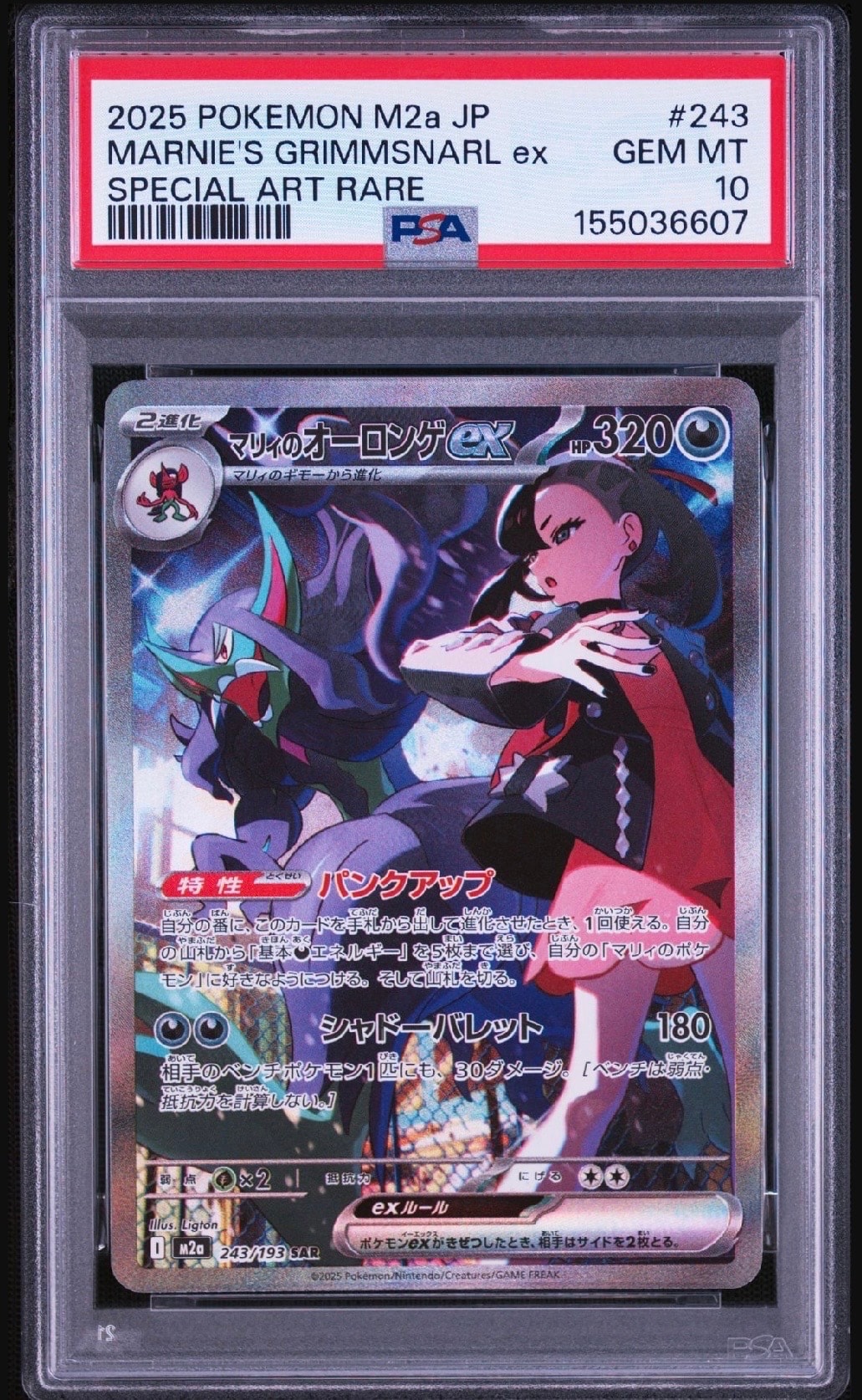 イーブイ C [XY3 075/096](拡張パック「ライジングフィスト」)の新品