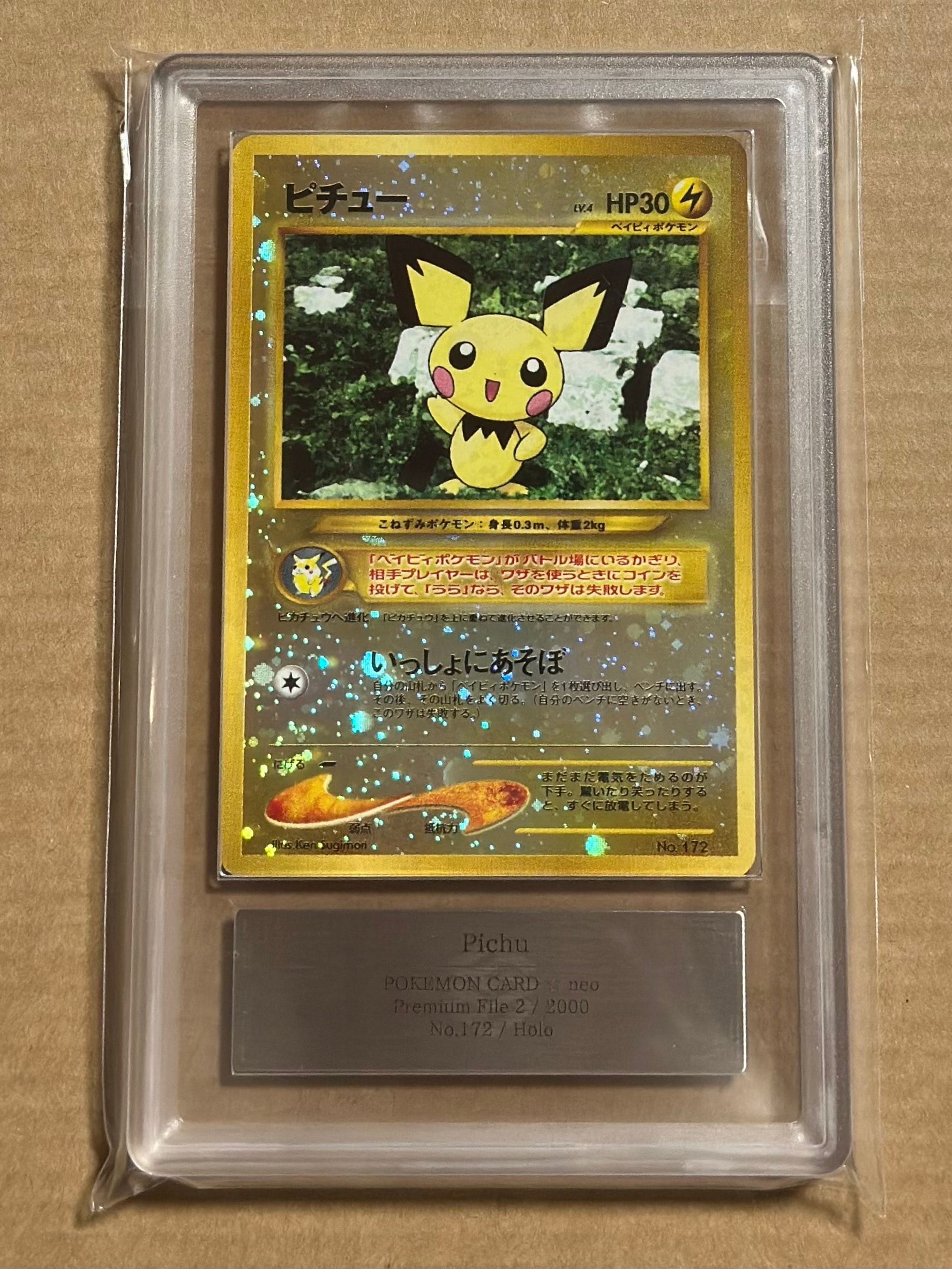 ピチュープレミアムファイル2: 旧裏[neoP2 No.172](プレミアムファイル2)