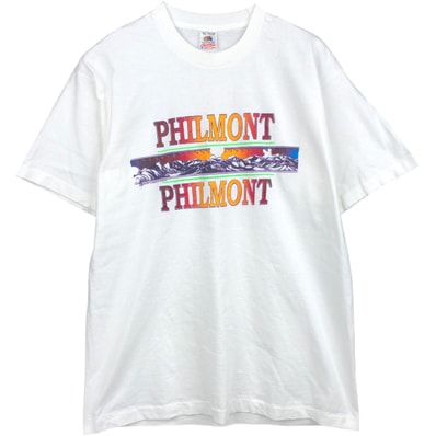 古着 フルーツオブザルーム FRUIT OF THE LOOM プリントTシャツ USA製 メンズXL相当/eaa642028