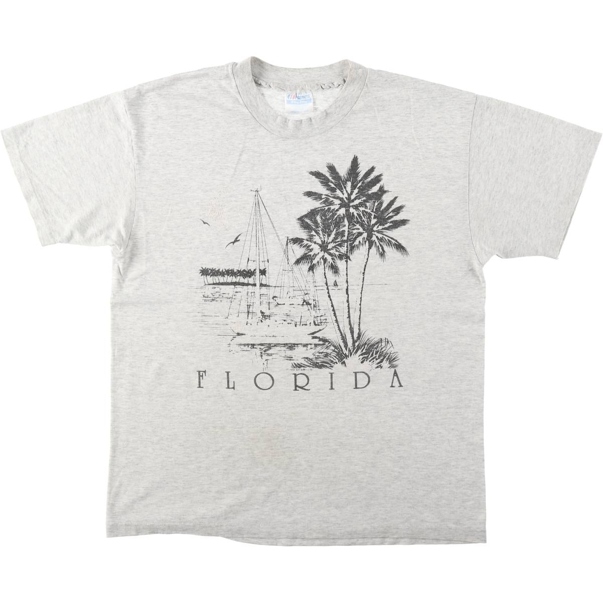 古着 90年代 ヘインズ Hanes Fifty-Fifty 青タグ プリントTシャツ USA製 メンズL相当 ヴィンテージ/eaa621684