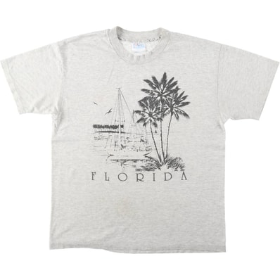 古着 90年代 ヘインズ Hanes Fifty-Fifty 青タグ プリントTシャツ USA製 メンズL相当 ヴィンテージ/eaa621684
