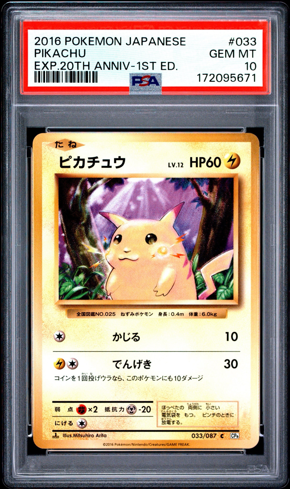 ピカチュウ C :1ED [CP6 033/087](コンセプトパック「ポケットモンスターカードゲーム 拡張パック 20th Anniversary」)