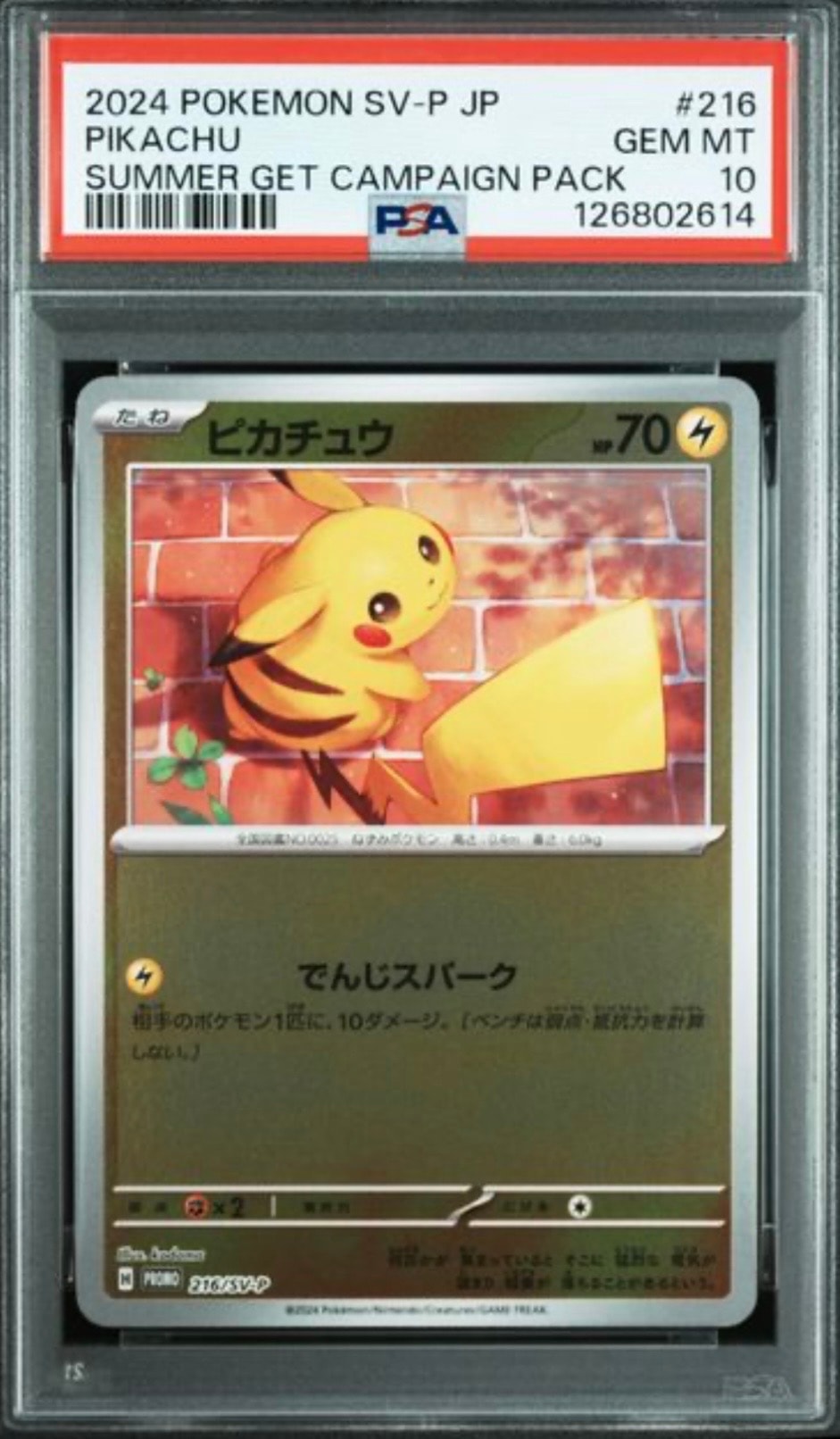 ピカチュウ P [SV-P 216](プロモカードパック「ポケカの夏がキタ!プロモカードGetキャンペーン!」)