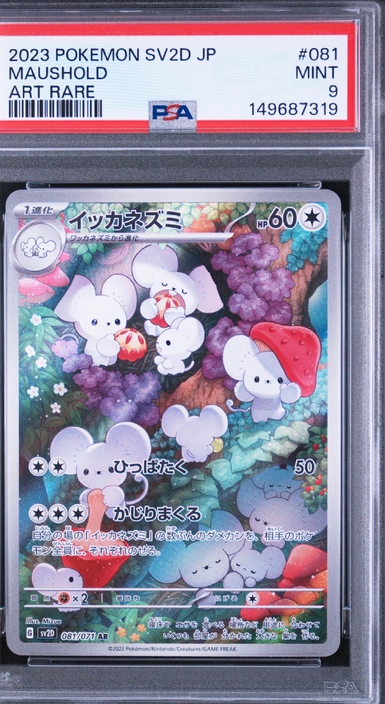 サンダース ☆ [e4 036/088](拡張パック第4弾「裂けた大地」)の新品