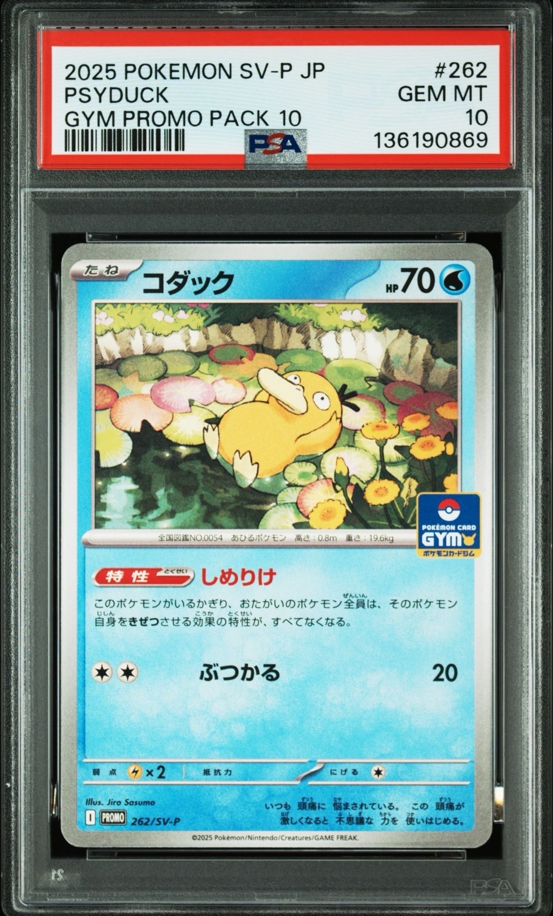 コダック P [SV-P 262](プロモカードパック「第10弾」)