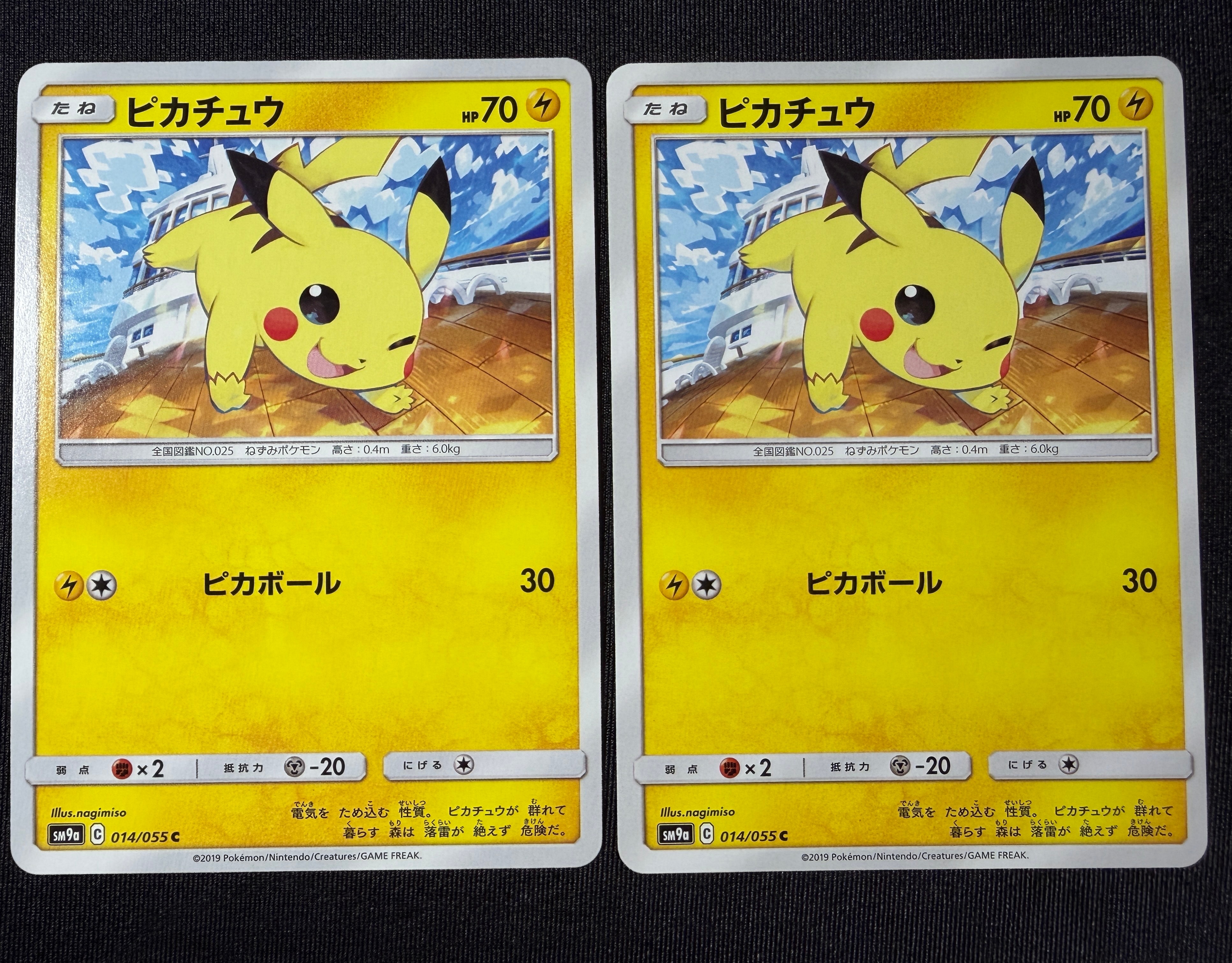 PSA10】ピカチュウ C [SM9a 014/055](強化拡張パック「ナイトユニゾン