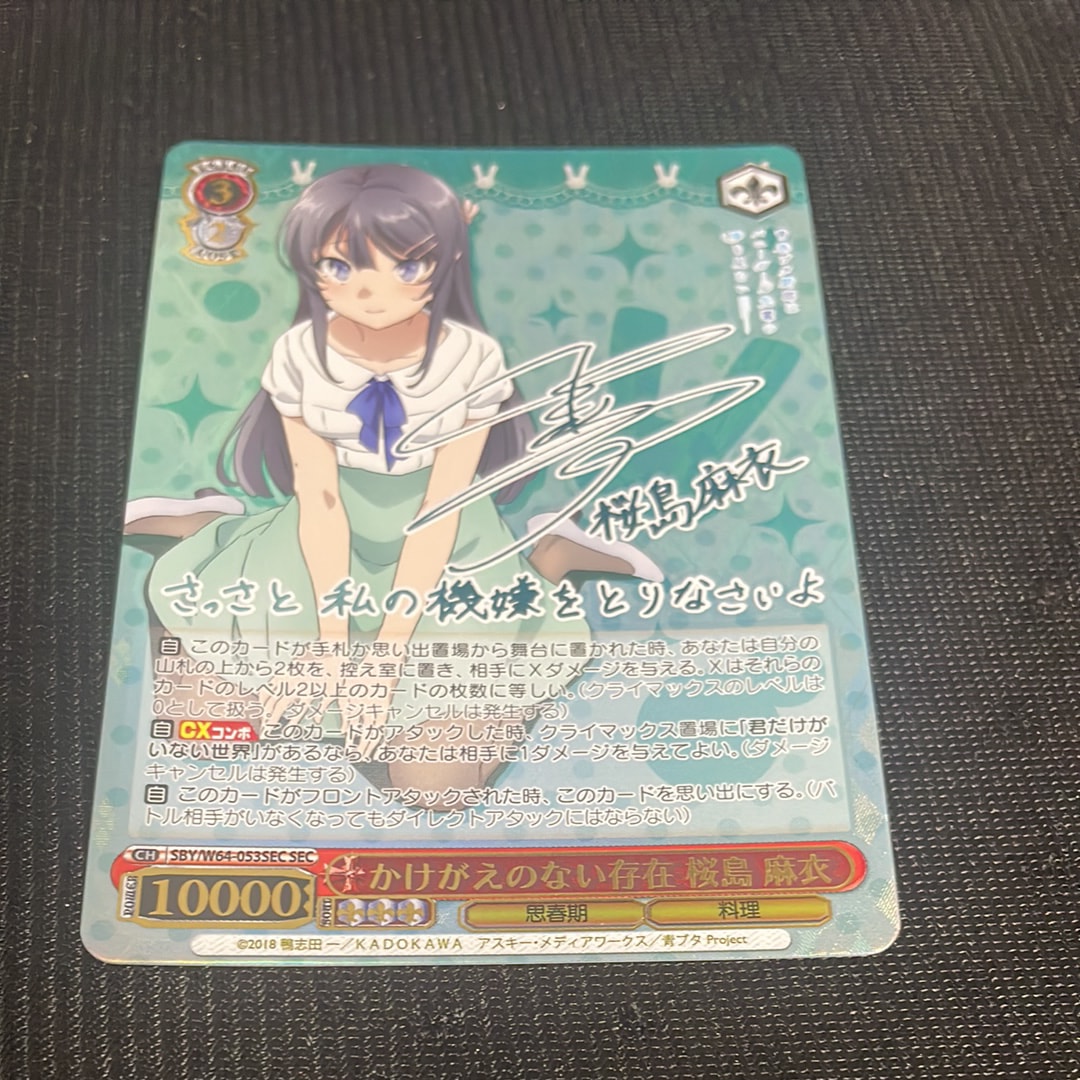 桜島麻衣 かけがえのない存在 SEC サイン シークレット sn214 桜島麻衣 かけがえのない存在 SEC サイン シークレット sn214