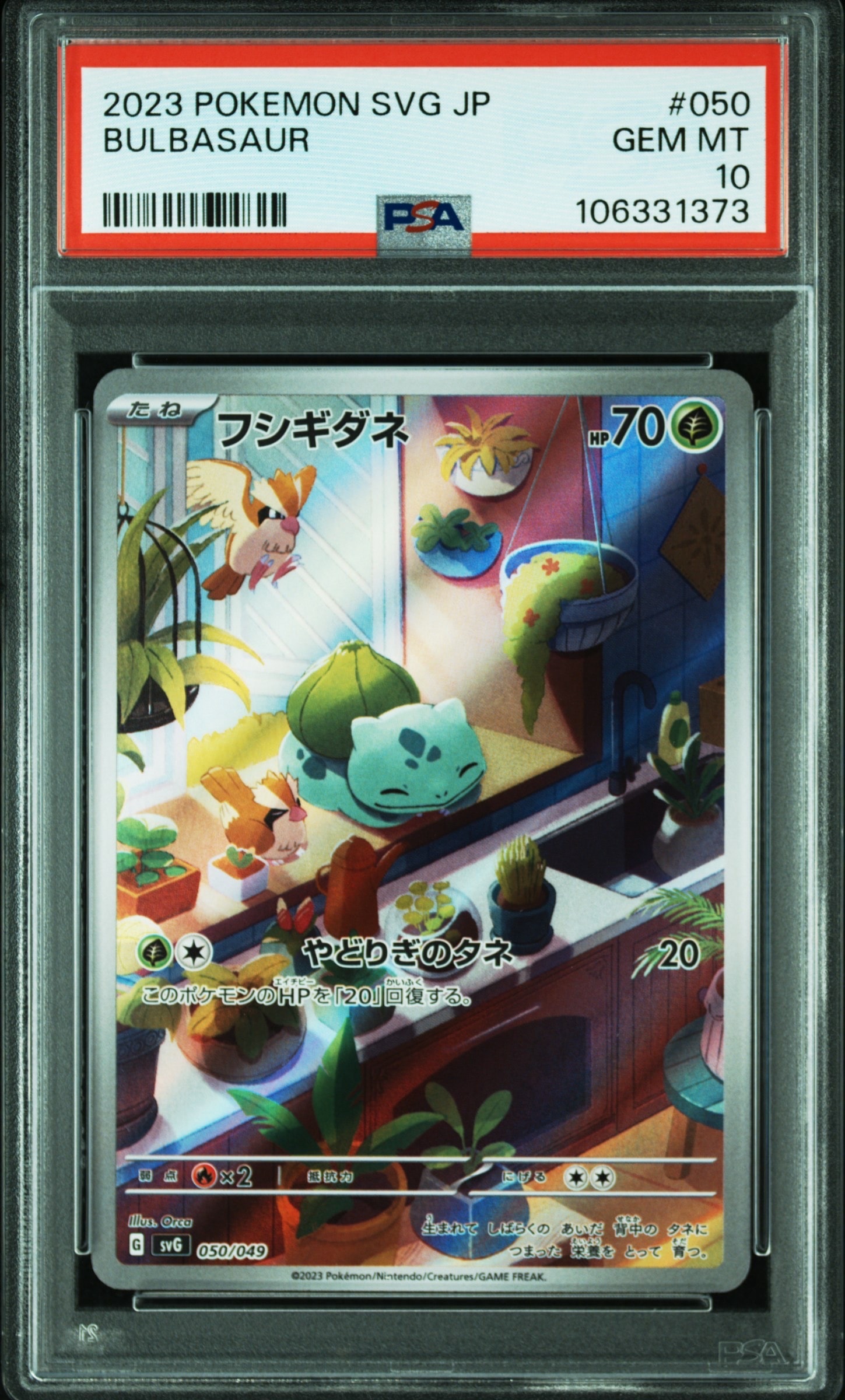 フシギダネ :フルイラスト [SVG 050/049](スペシャルデッキセットex「フシギバナ・リザードン・カメックス」)