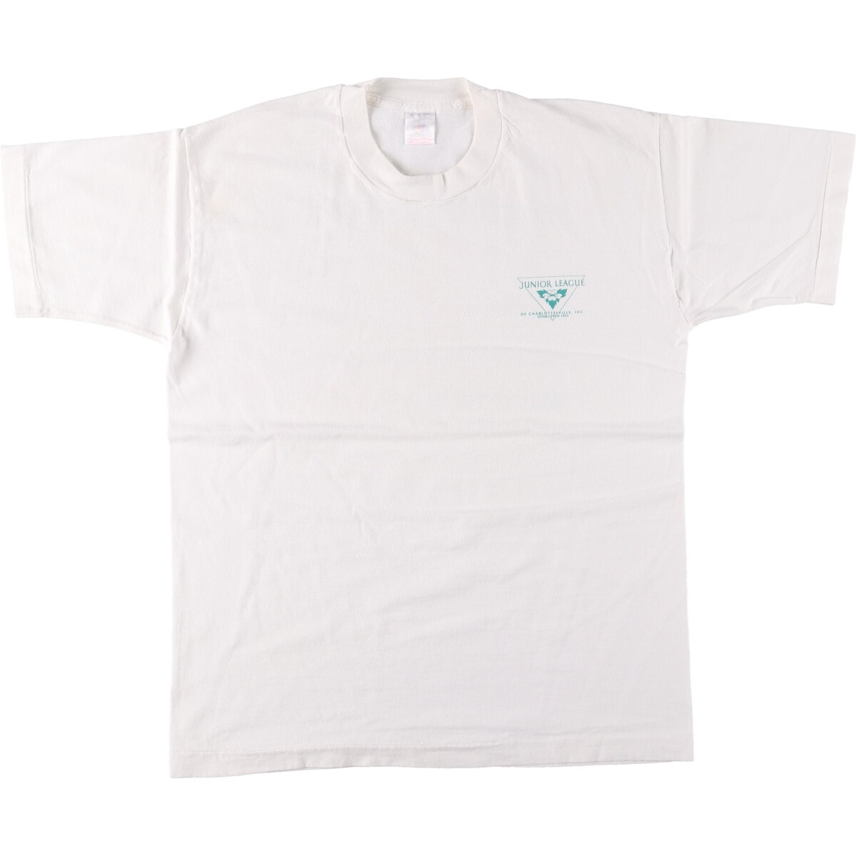 古着 90年代 フルーツオブザルーム FRUIT OF THE LOOM バックプリント プリントTシャツ メンズL相当 ヴィンテージ/eaa489302