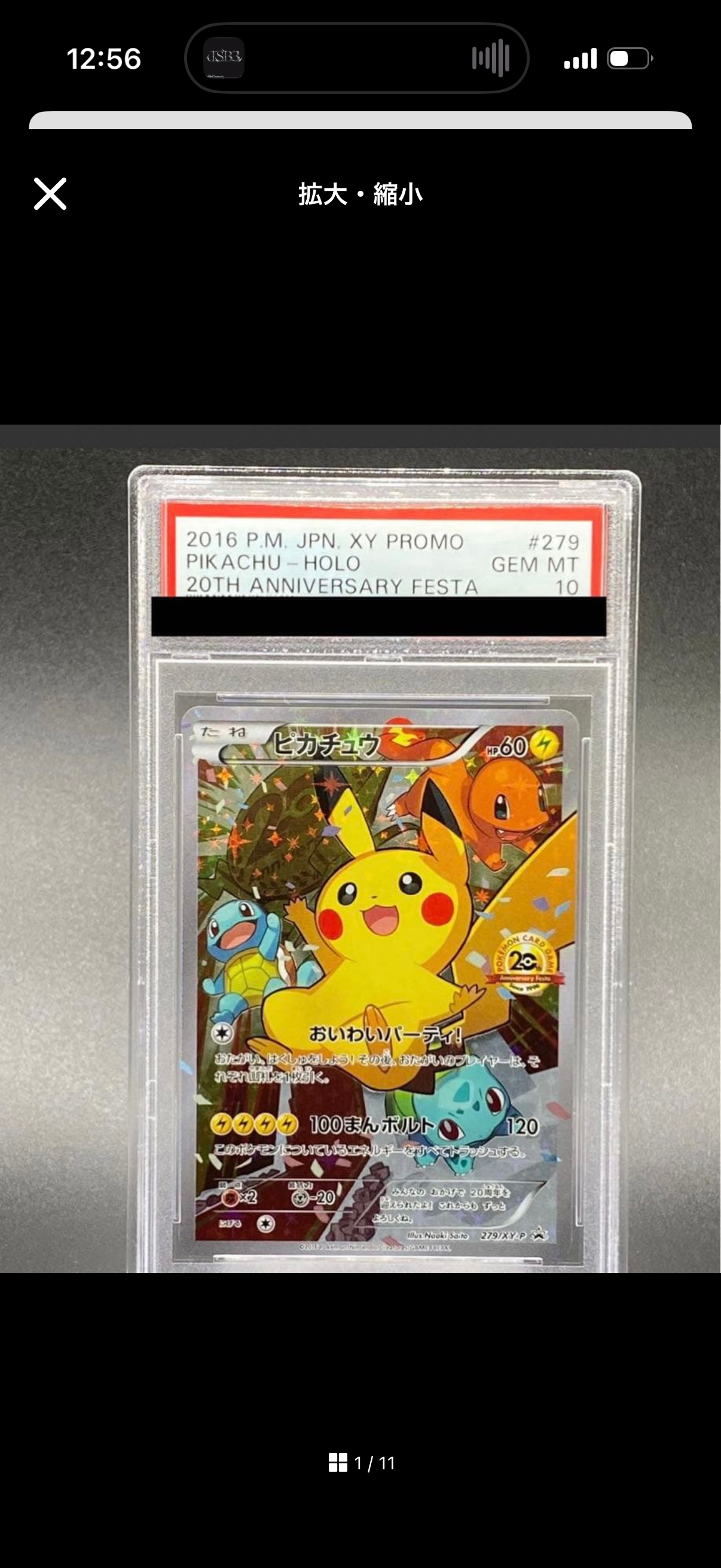 ピカチュウ: プロモ[XY-P 279/XY-P](プロモーションカード「XY-P」)