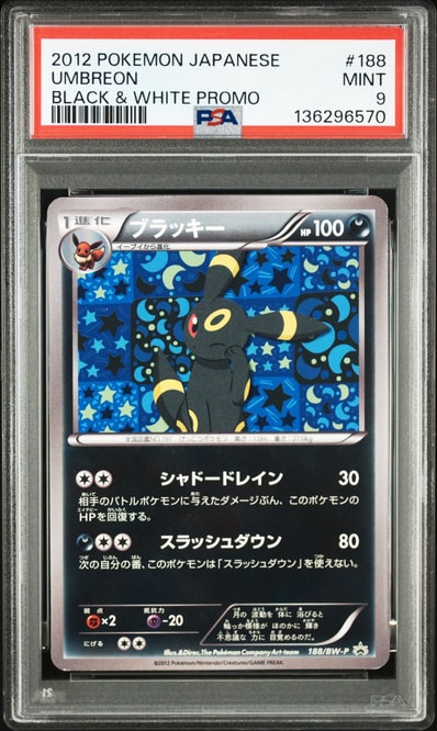 ポケモン ブラッキー イーブイコレクションファイル 188/BW-P ポケモン ブラッキー イーブイコレクションファイル 188/BW-P