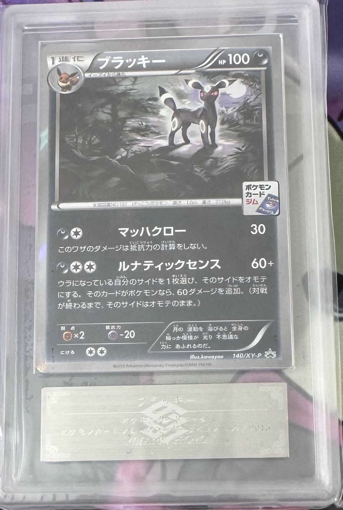 ブラッキー: プロモ[XY-P 140/XY-P](プロモーションカード「XY-P