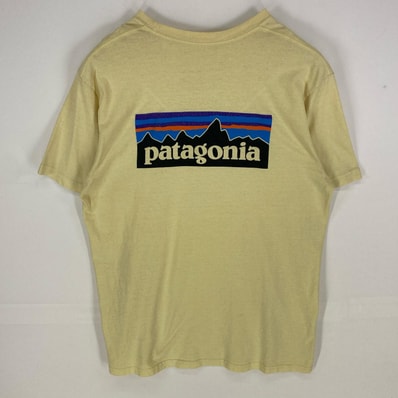 古着 パタゴニア patagonia 半袖Tシャツ ロゴプリント ワンポイント ショートスリーブ XL ベージュ系 バックプリント メンズ