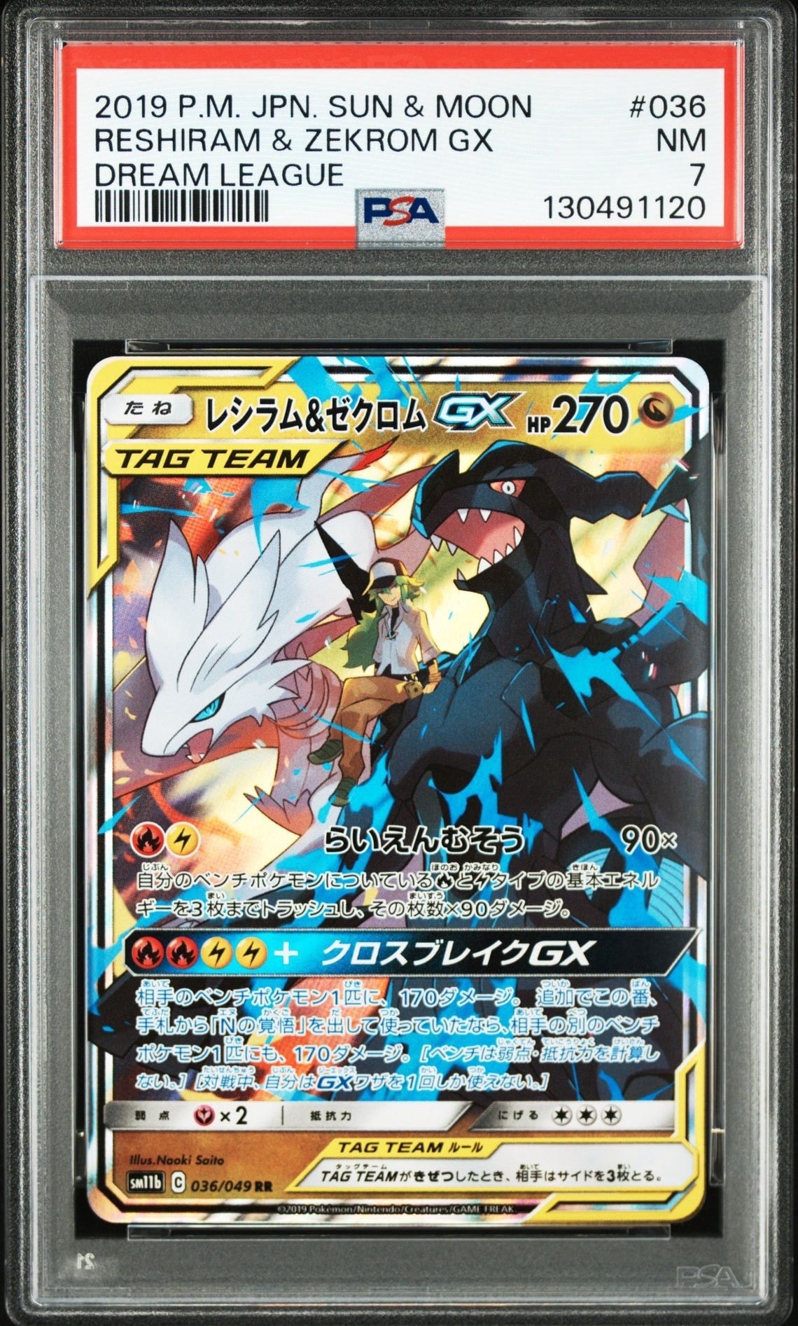 レシラム&ゼクロムGX (N) RR[SM11b 036/049](強化拡張パック「ドリームリーグ」)