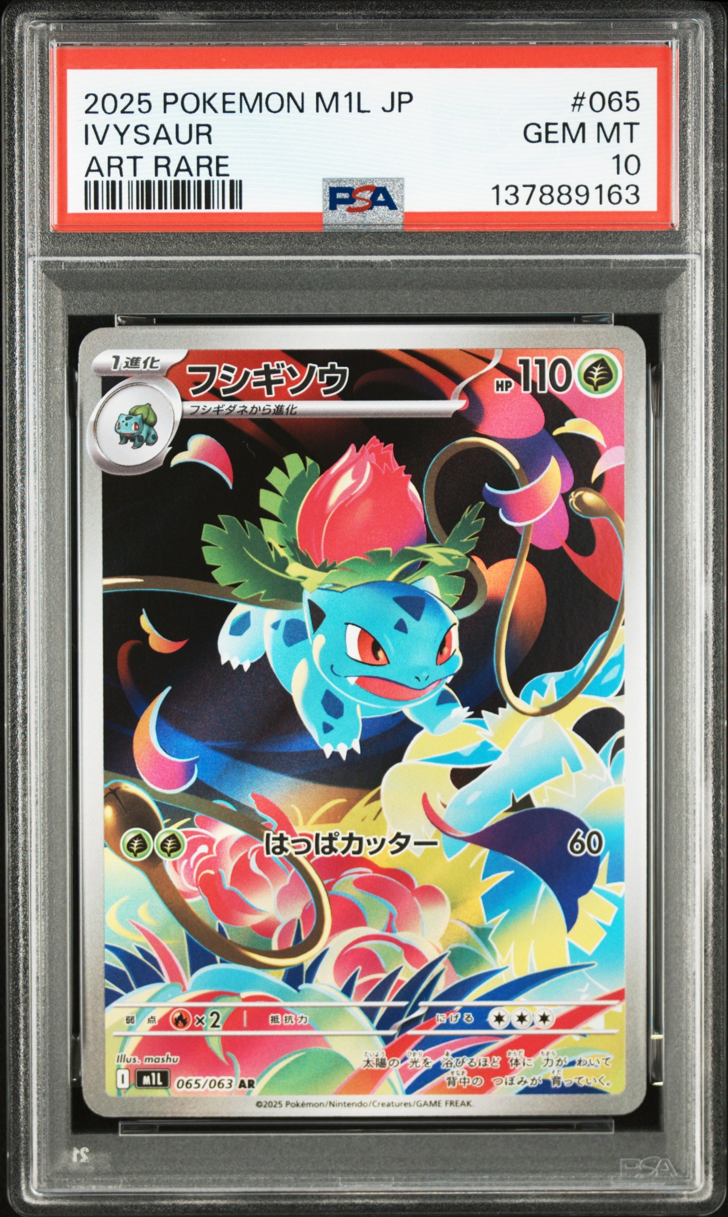 フシギソウ AR [M1L 065/063](拡張パック「メガブレイブ」)の新品/中古