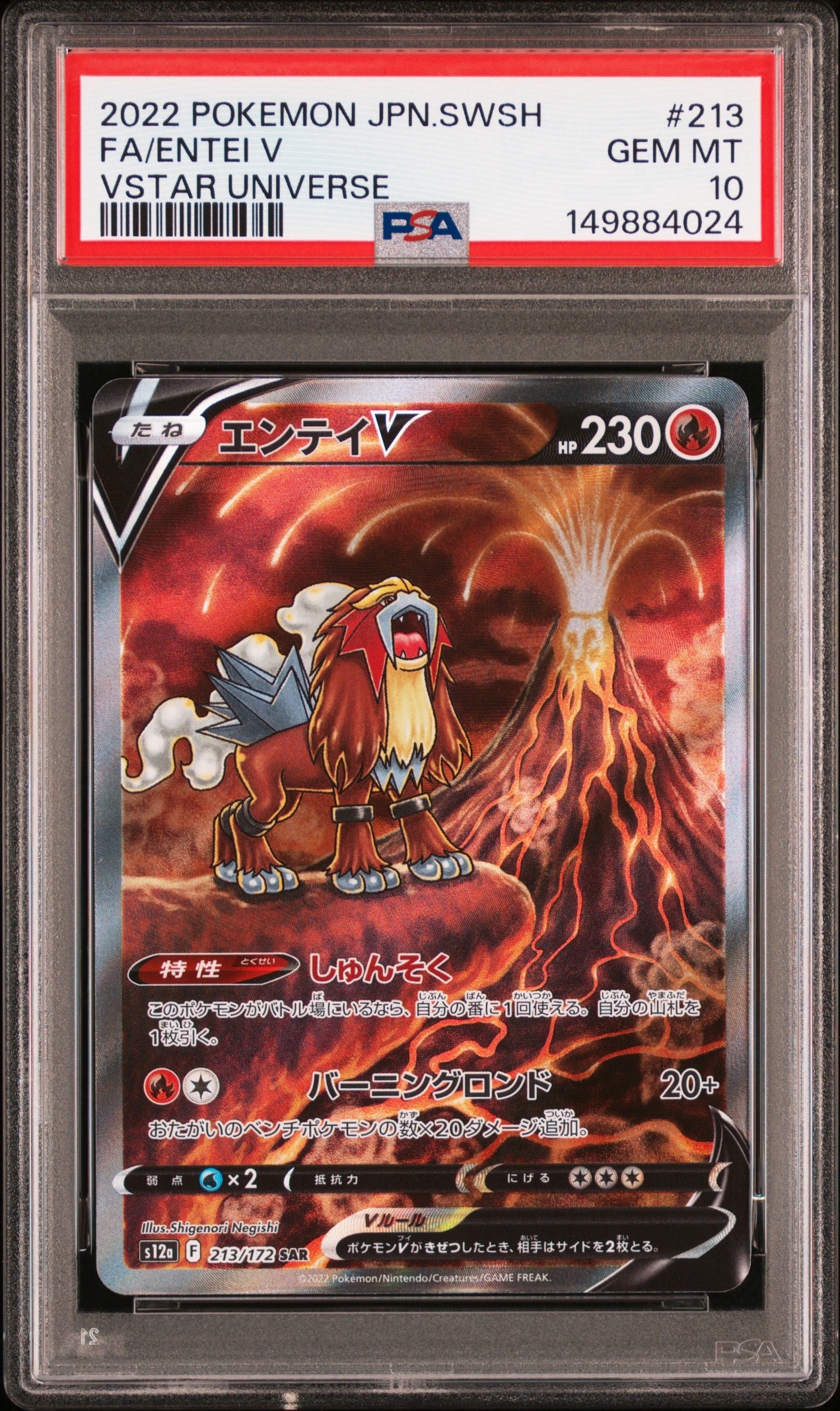 PSA10】エンテイV SAR[s12a 213/172](ハイクラスパック「VSTAR