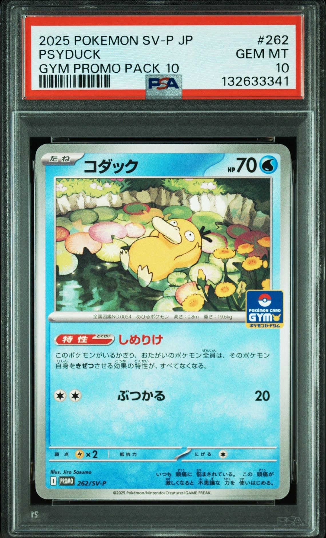 コダック P [SV-P 262](プロモカードパック「第10弾」)