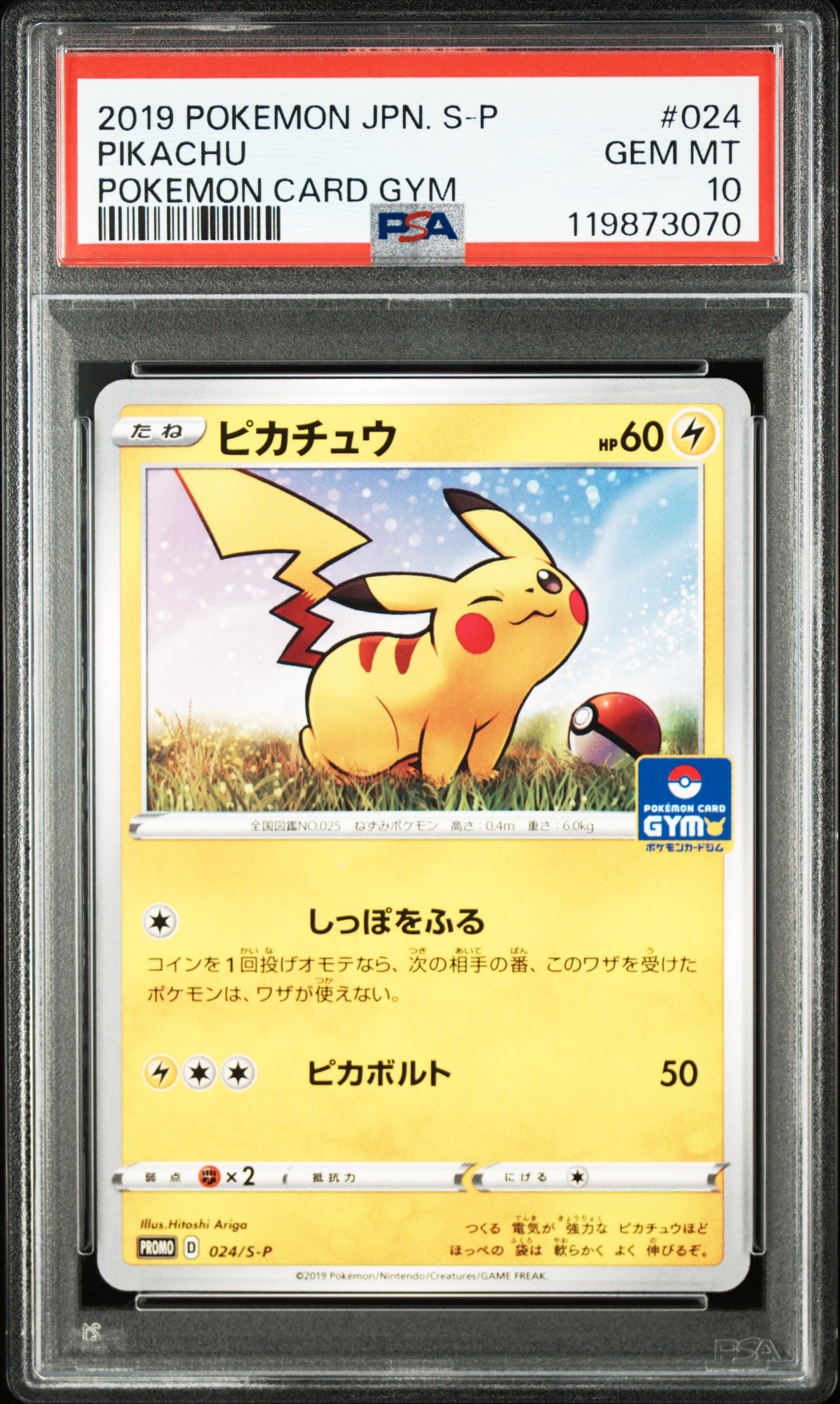 ピカチュウ: プロモ P [S-P 024](ポケモンカードゲーム ソード&シールド 「プロモカードパック 第1弾」)