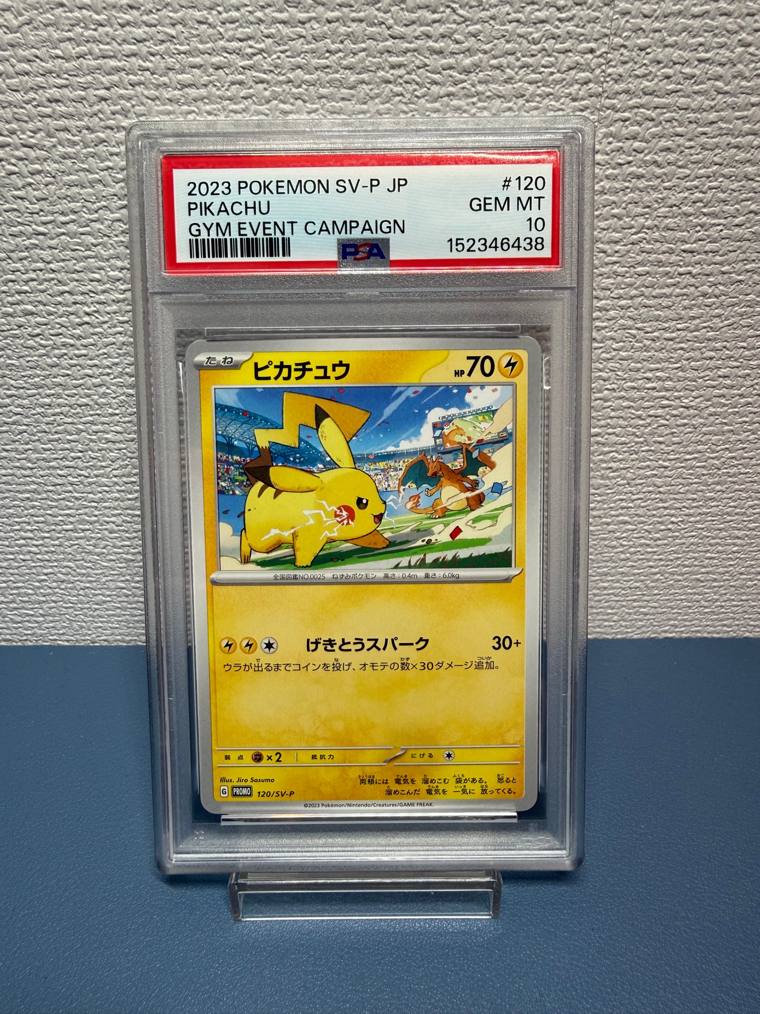 ピカチュウ: プロモ [SV-P 120](プロモーションカード「SV-P」)通販