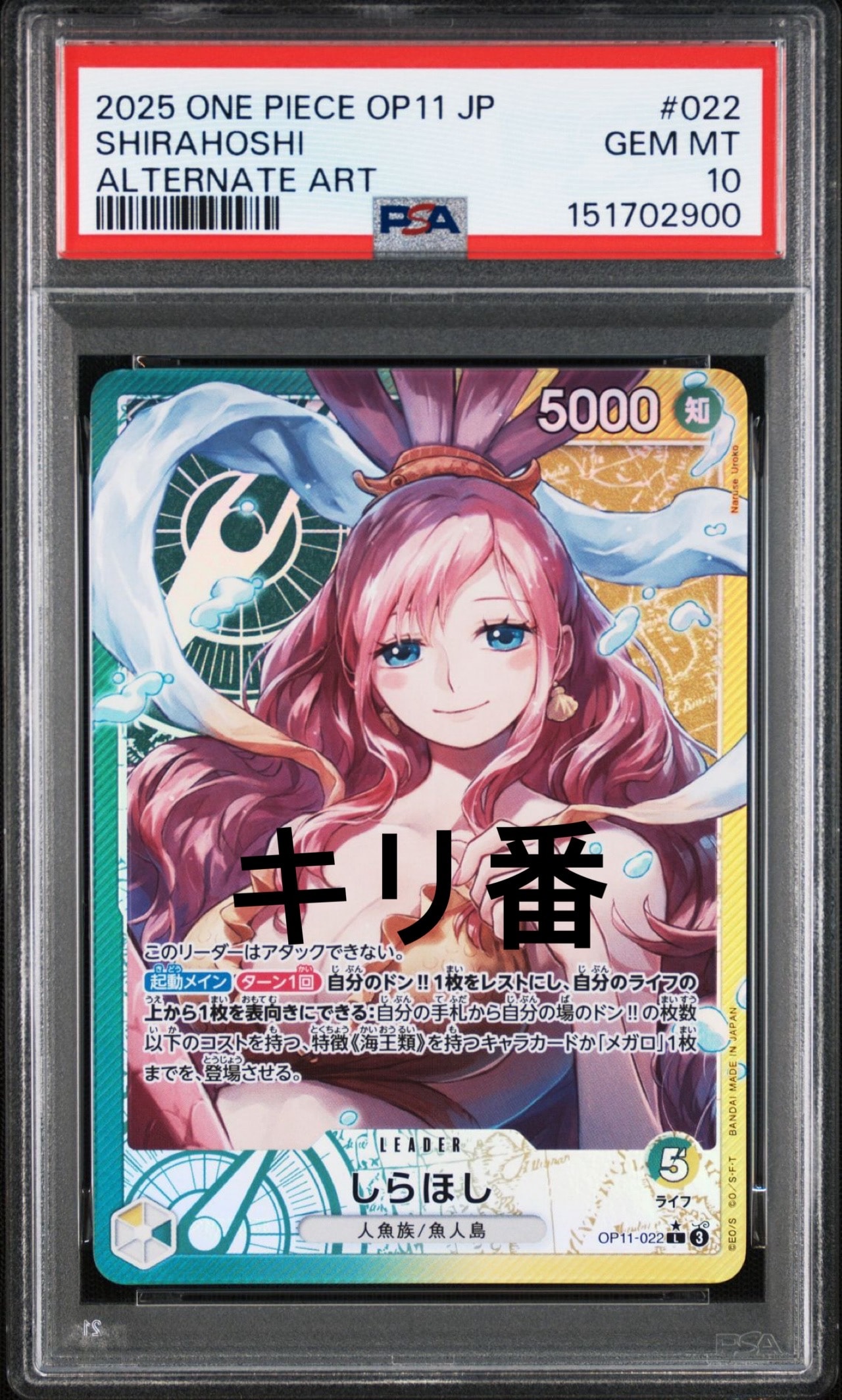 PSA10】しらほし L-P [OP11-022](ブースターパック「神速の拳」) 2枚の