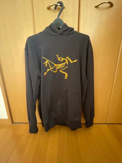 PALACE / Arc'Teryx Alpha Hood "Black" P19ARXHD001