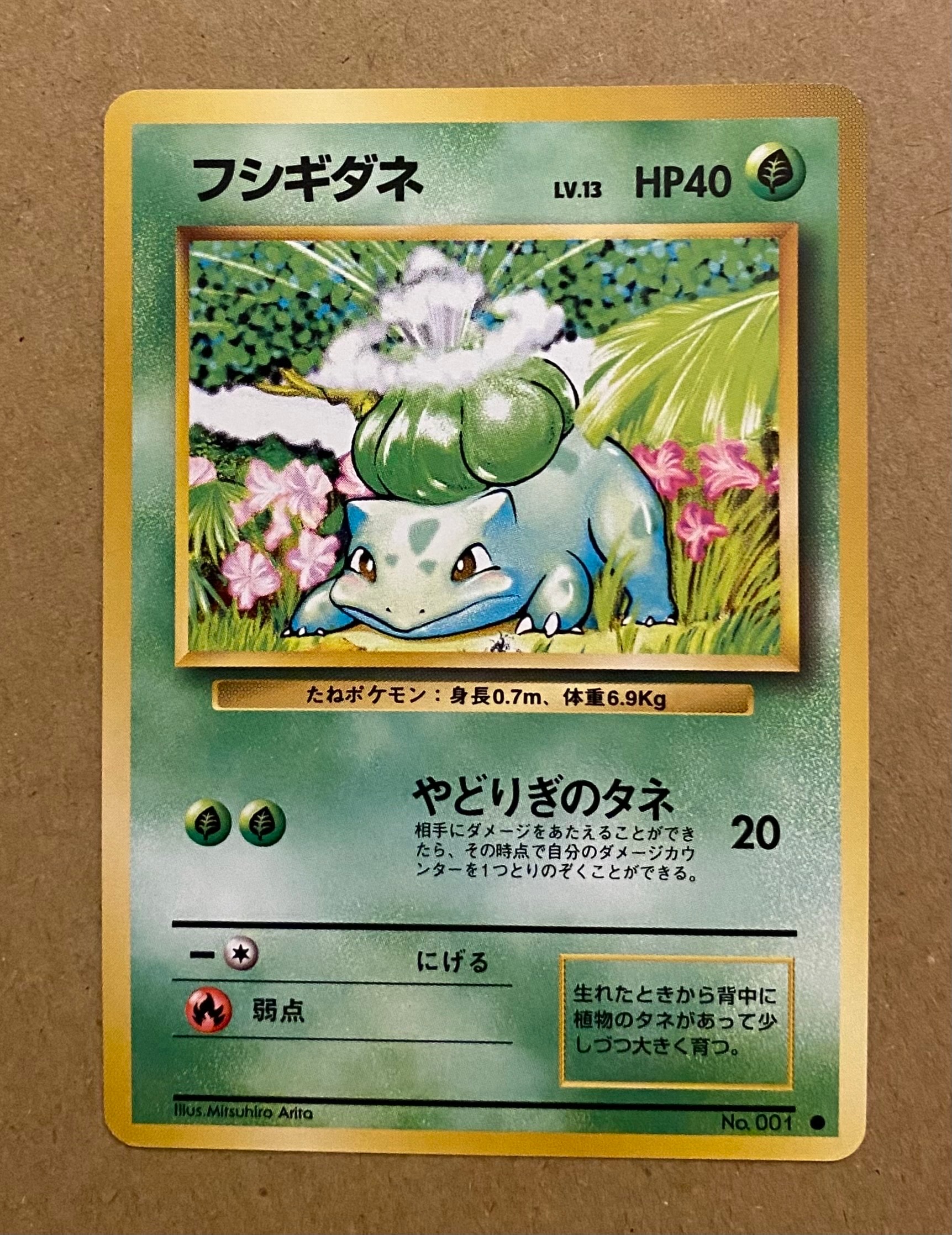 状態D】フシギダネ ○ : 旧裏 [PMCG1-2](拡張パック