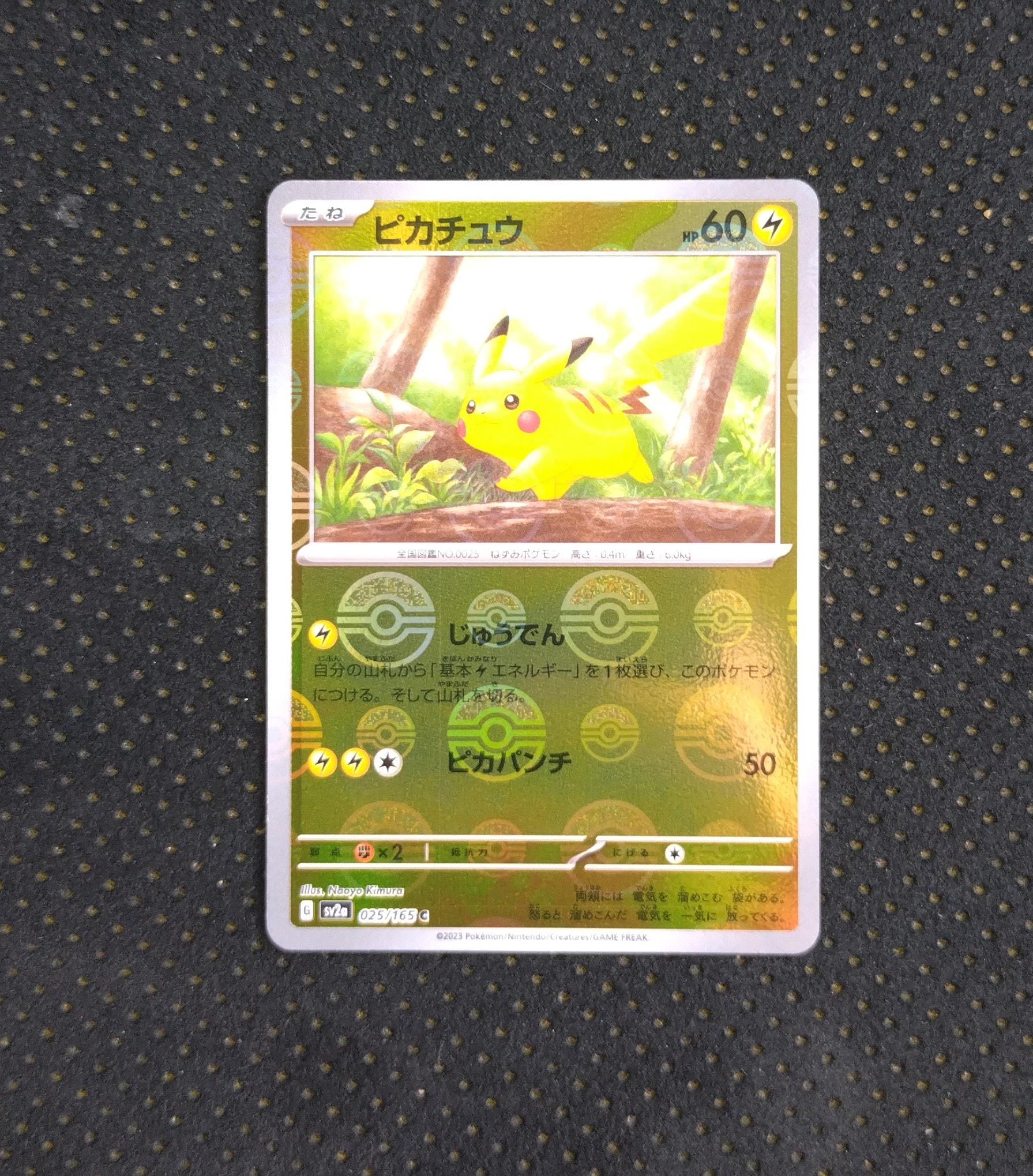 PSA10】そらをとぶピカチュウ: プロモ[XY-P 292/XY-P](プロモーション