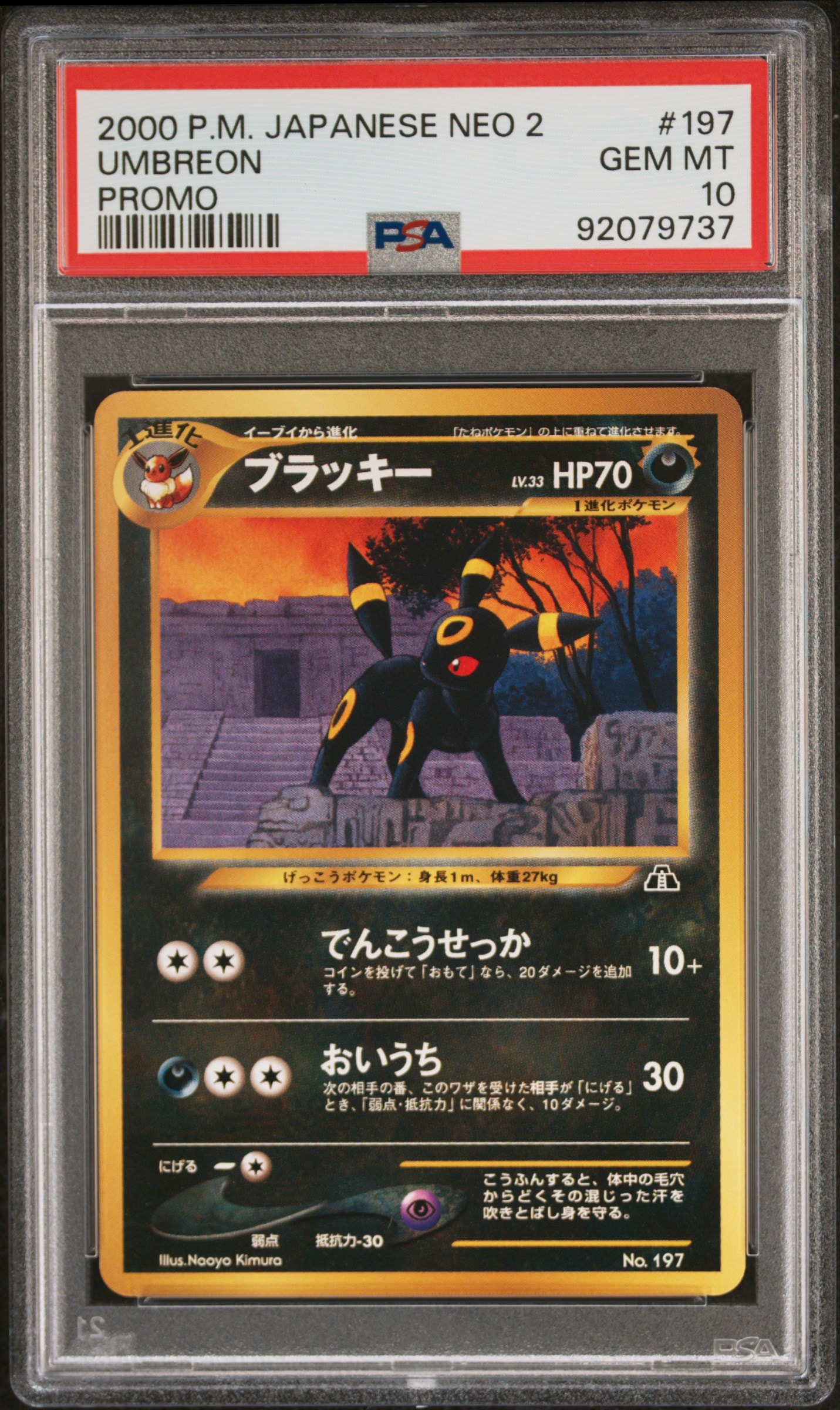 PSA8以下】ブラッキープレミアムファイル2: 旧裏[neoP2 No.197