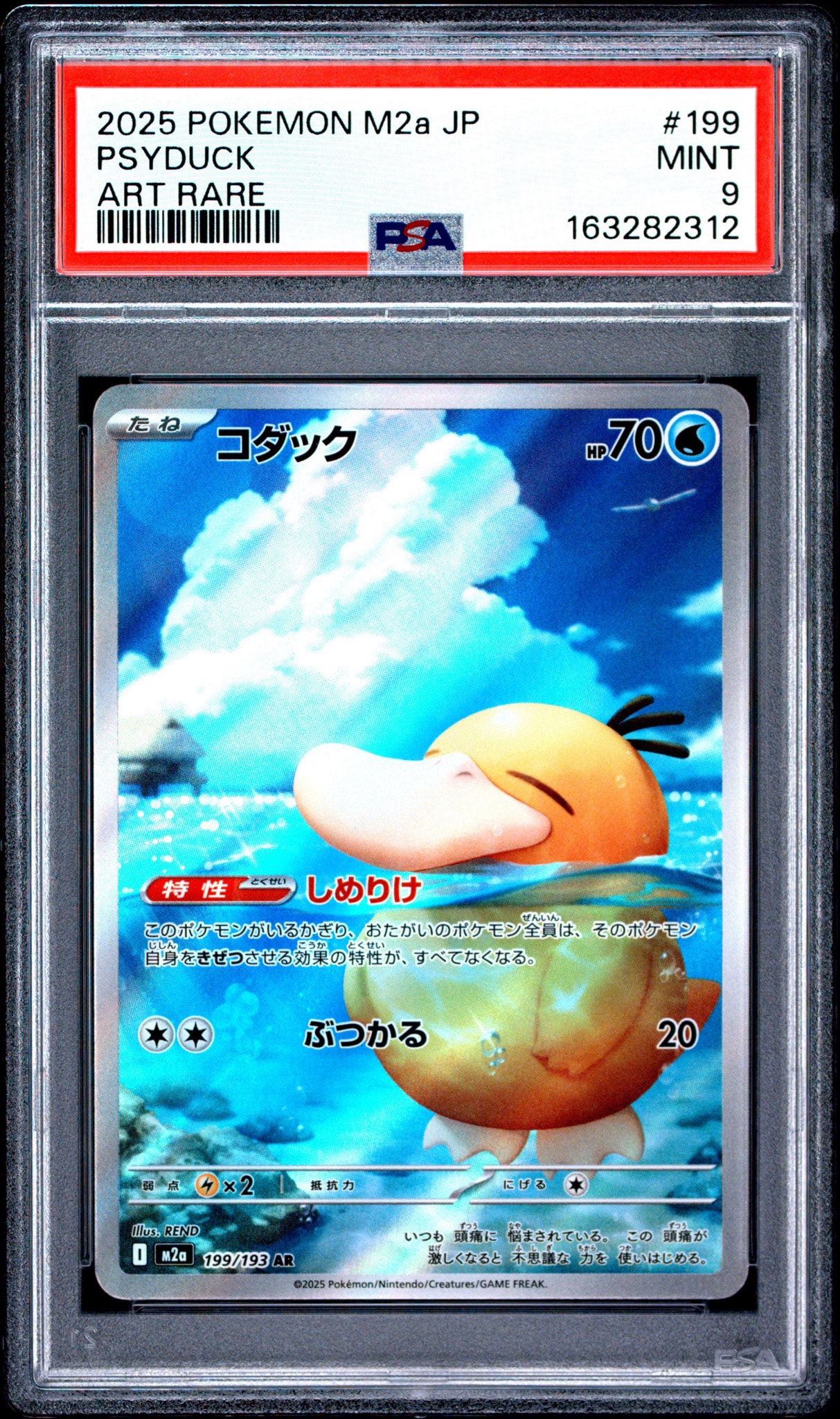 コダック AR [M2a 199/193](ハイクラスパック「MEGAドリームex」)