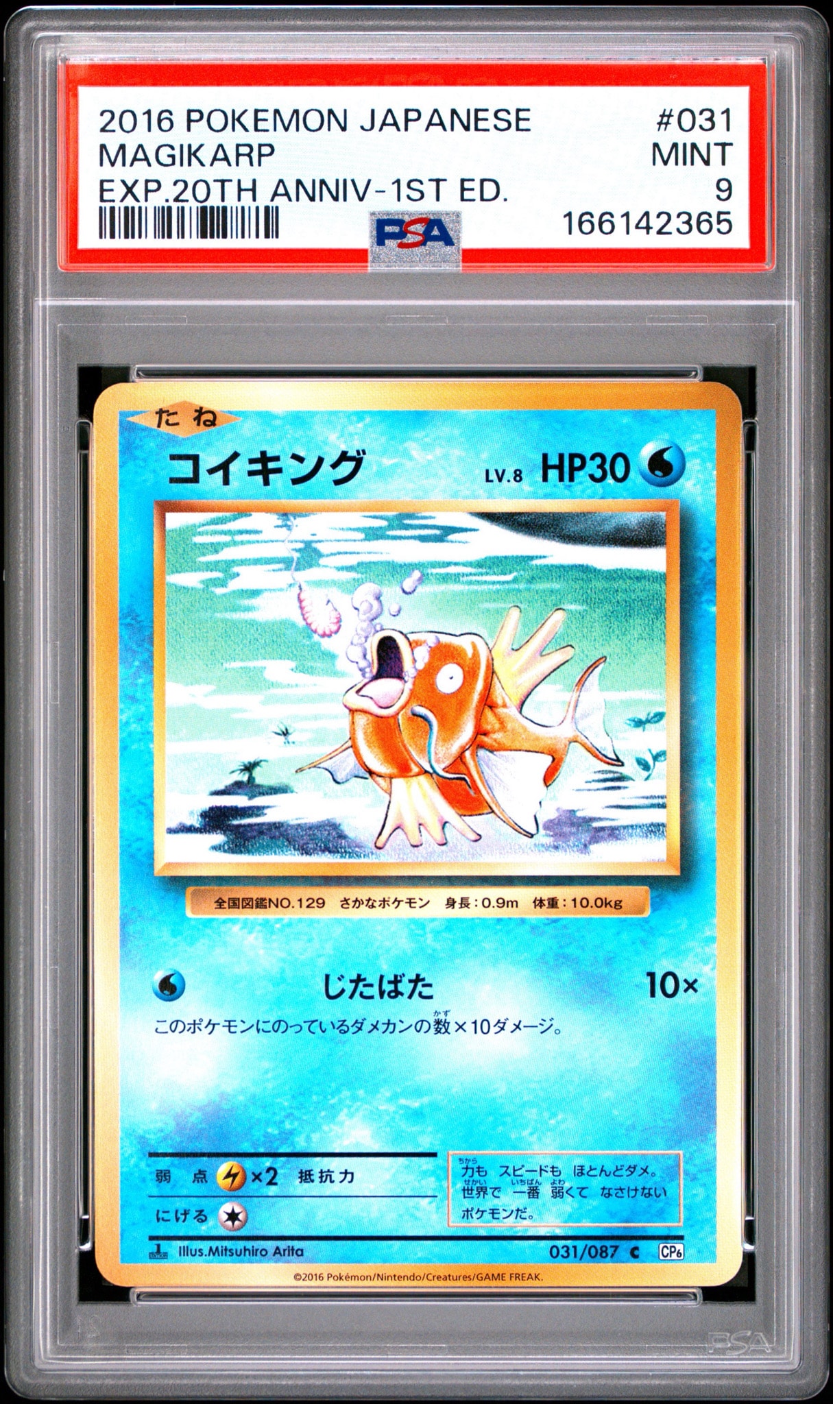 コイキング C :1ED [CP6 031/087](コンセプトパック「ポケットモンスターカードゲーム 拡張パック 20th Anniversary」)