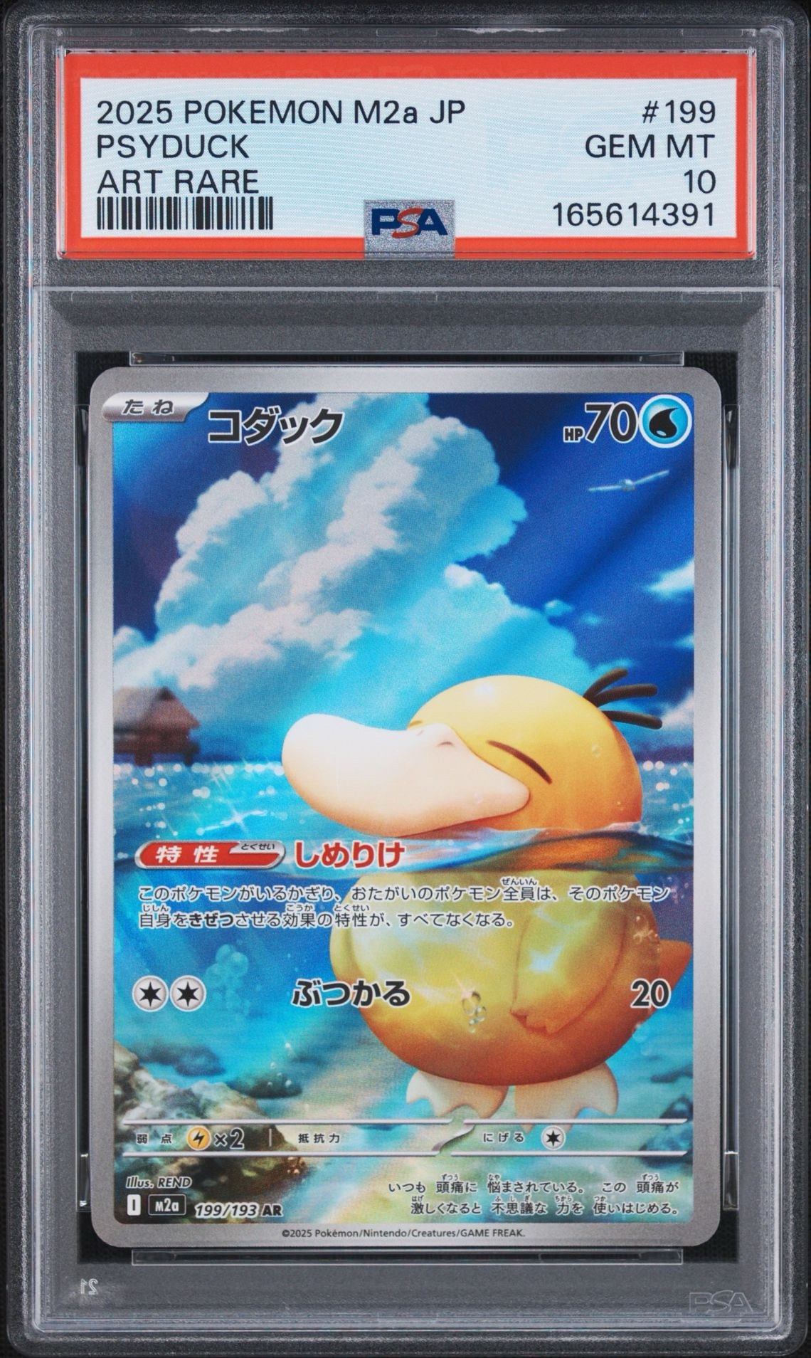 コダック AR [M2a 199/193](ハイクラスパック「MEGAドリームex」)