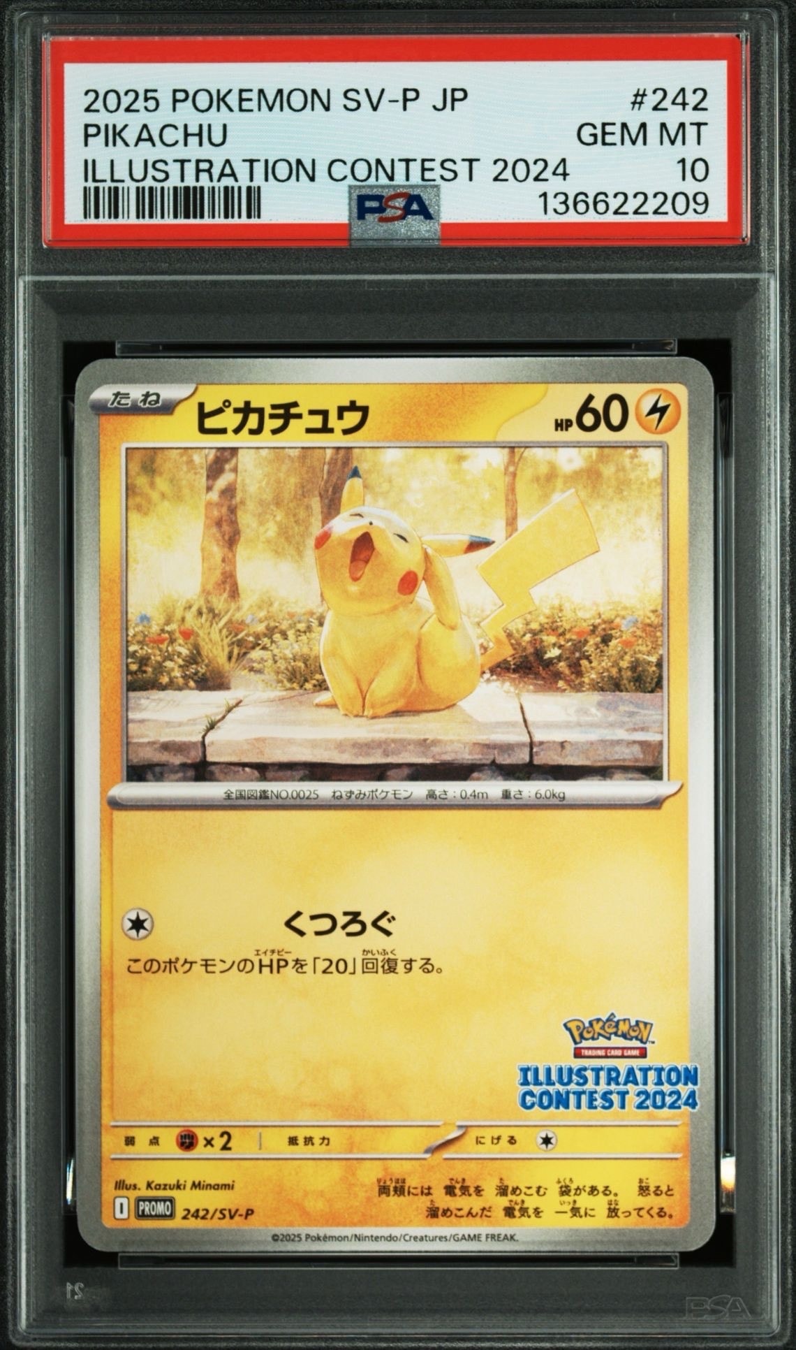【PSA10】ピカチュウ SV-P 242 プロモ PSA10】ピカチュウ [SV-P 242](プロモカードパック