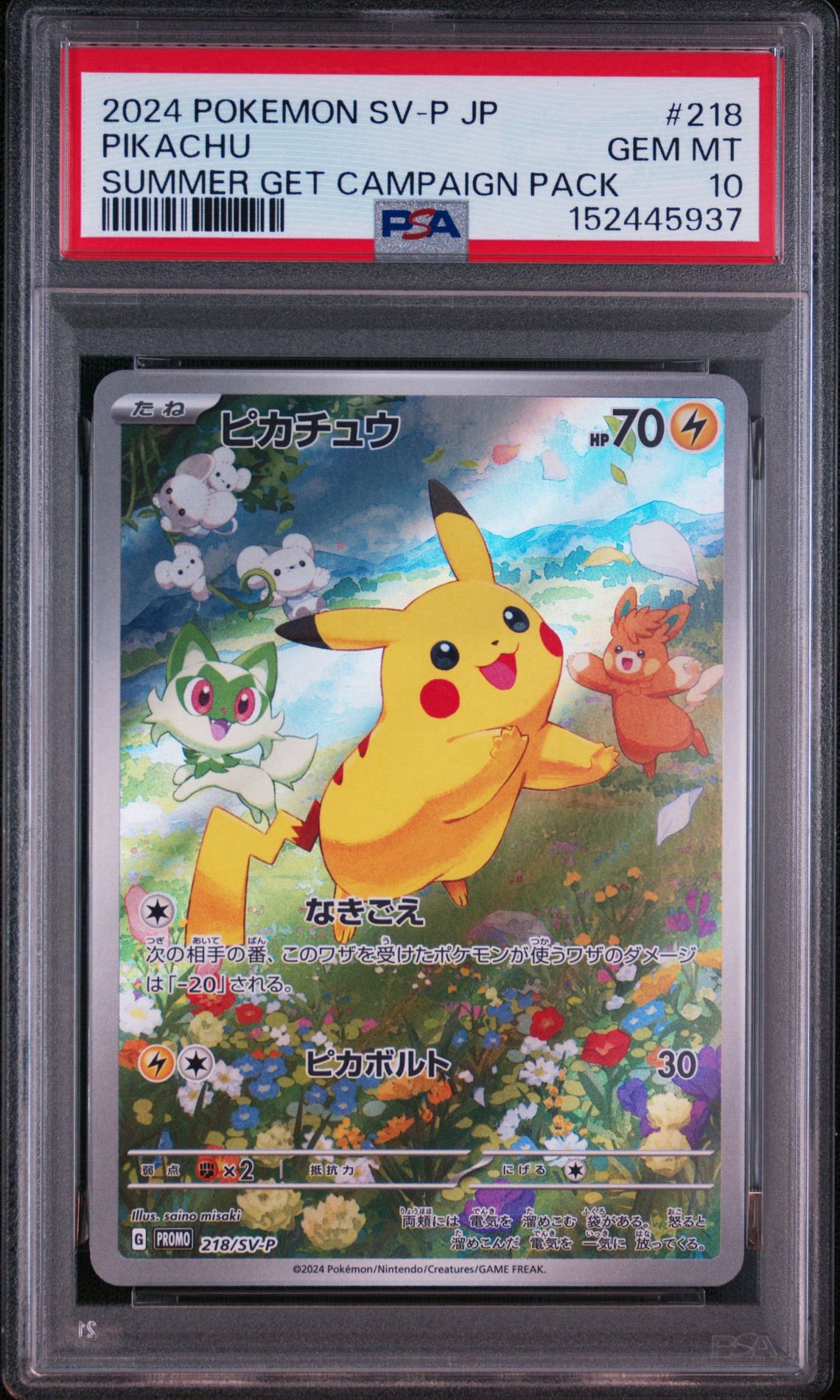 ピカチュウ P [SV-P 218](プロモカードパック「ポケカの夏がキタ!プロモカードGetキャンペーン!」)