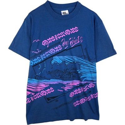 古着 80年代 ヘインズ Hanes プリントTシャツ USA製 メンズL相当 ヴィンテージ/eaa636021