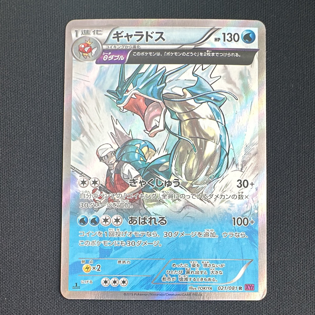 状態C】ギャラドス R :1ED [XY7 021/081](拡張パック