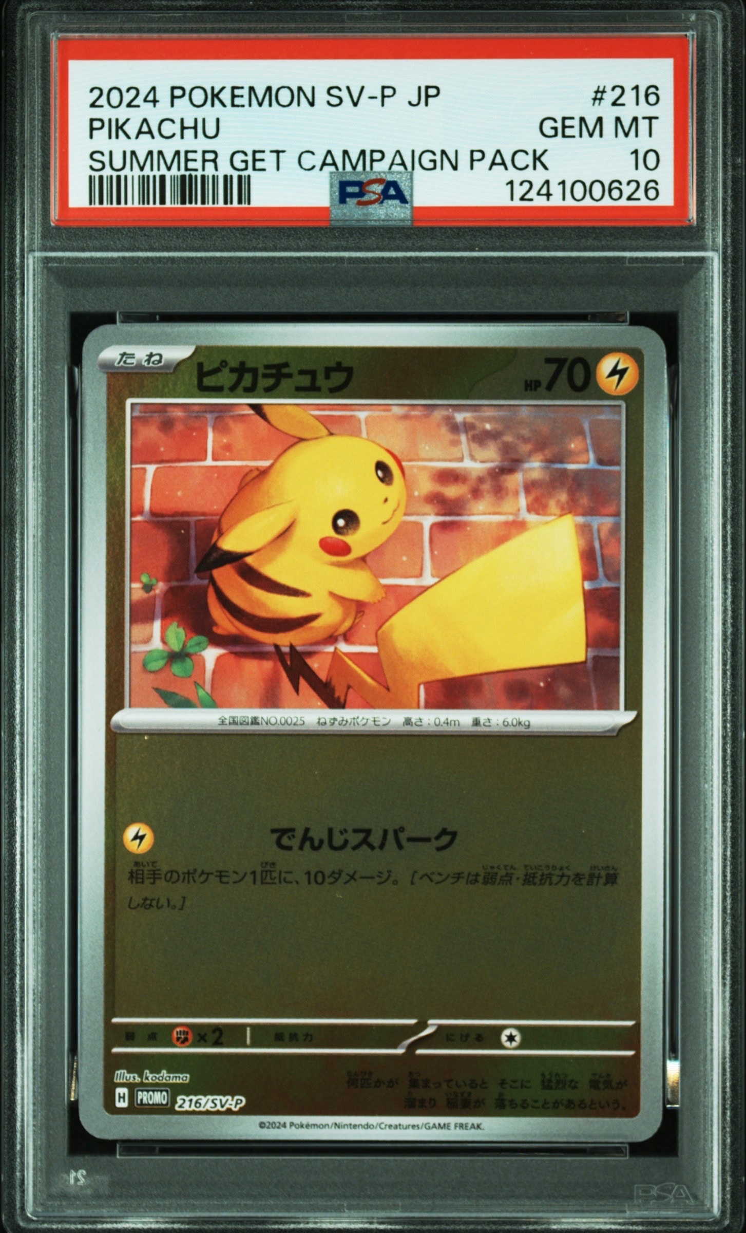 ピカチュウ P [SV-P 216](プロモカードパック「ポケカの夏がキタ！プロモカードGetキャンペーン！」)