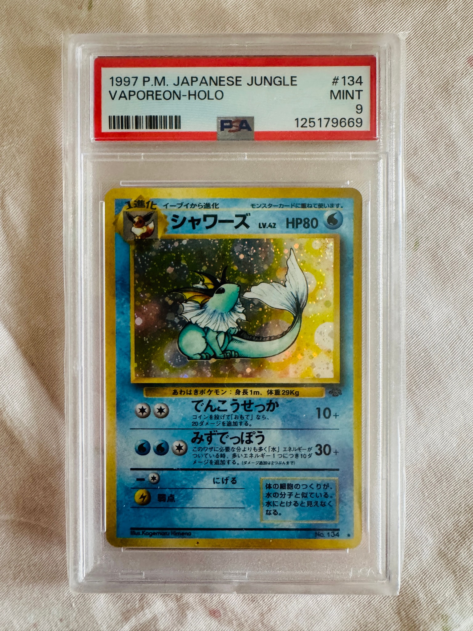 旧裏 ポケモンジャングル シャワーズ モルフォン マルマイン カビゴン 旧裏 ポケモンジャングル シャワーズ モルフォン マルマイン カビゴン