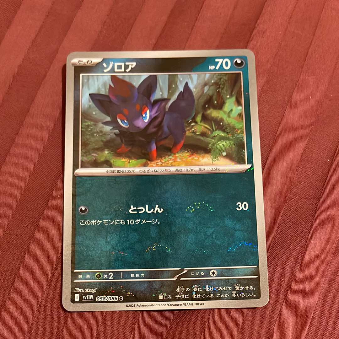 ゾロア C :マスターボールミラー [SV11W 058/086](拡張パック「ホワイトフレア」)